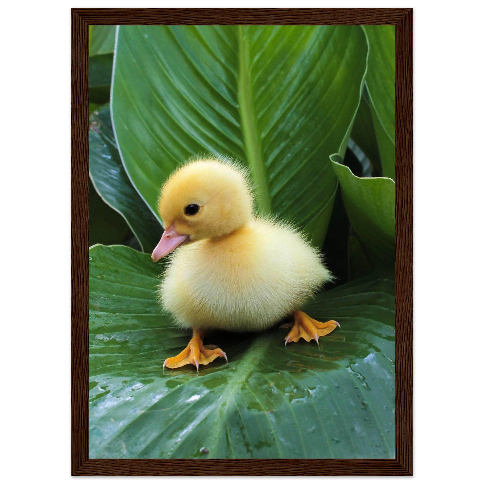 523fe6c3-341e-47a4-91fd-ce63f4d8be81