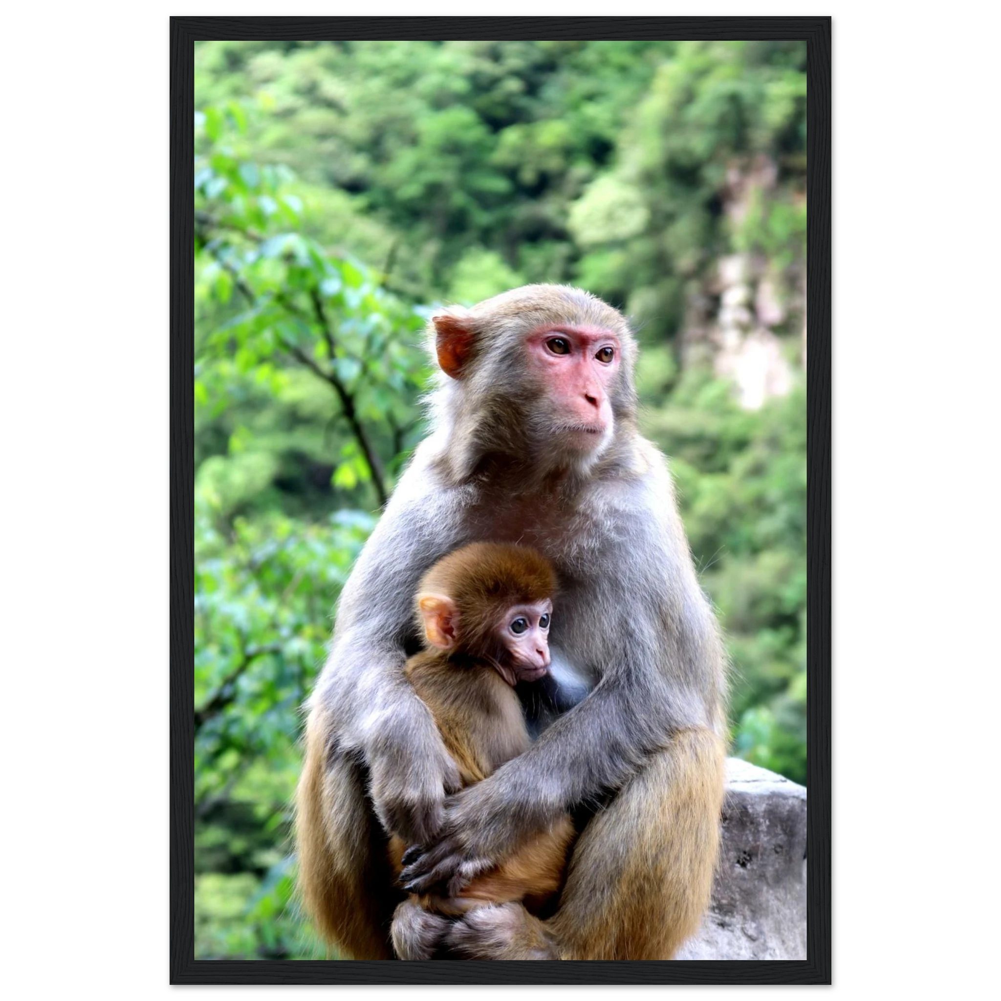 5248e9c2-c4a0-4e1a-81f0-d20e60af5163