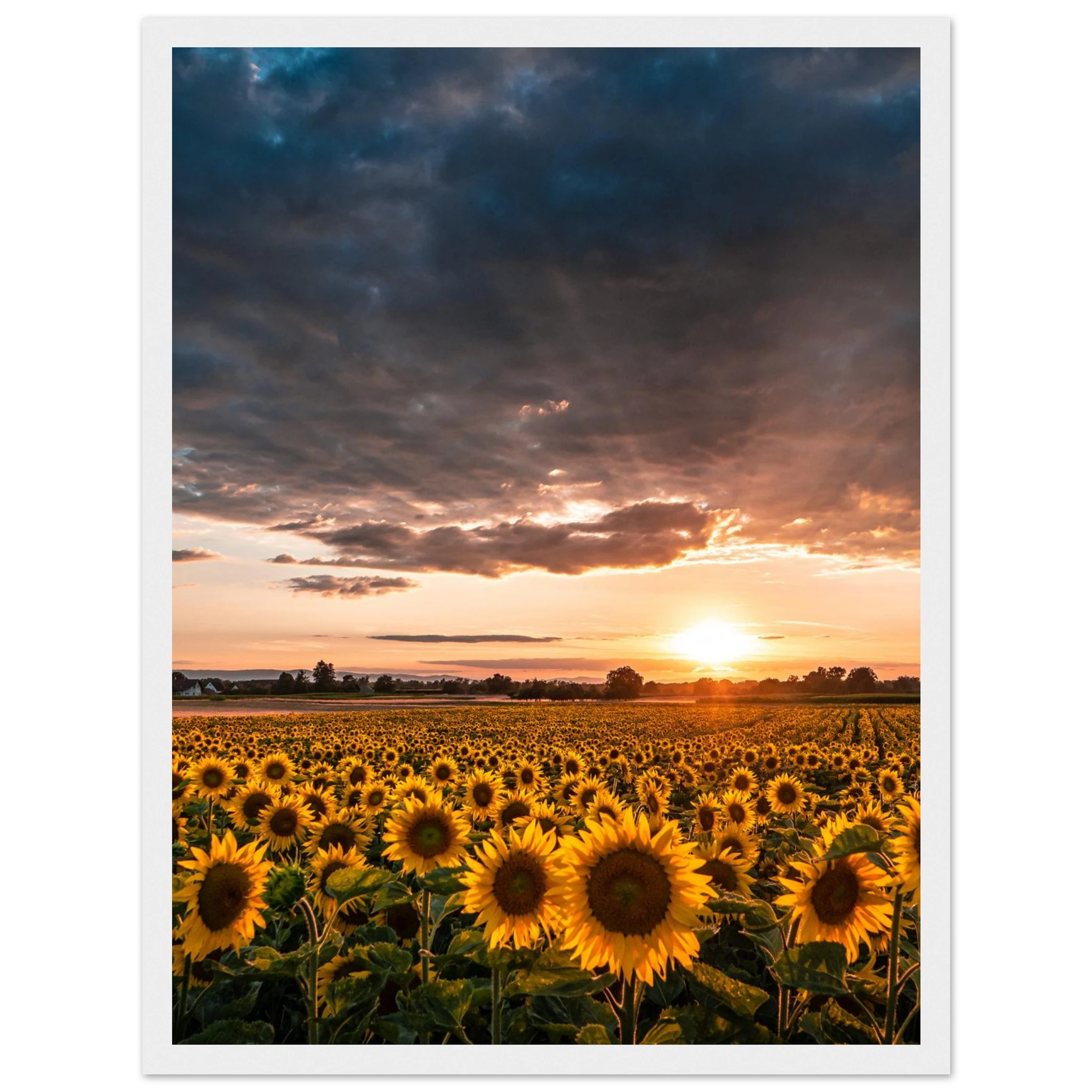 525c536e-f09d-4568-8d16-f6997cc3fcb1