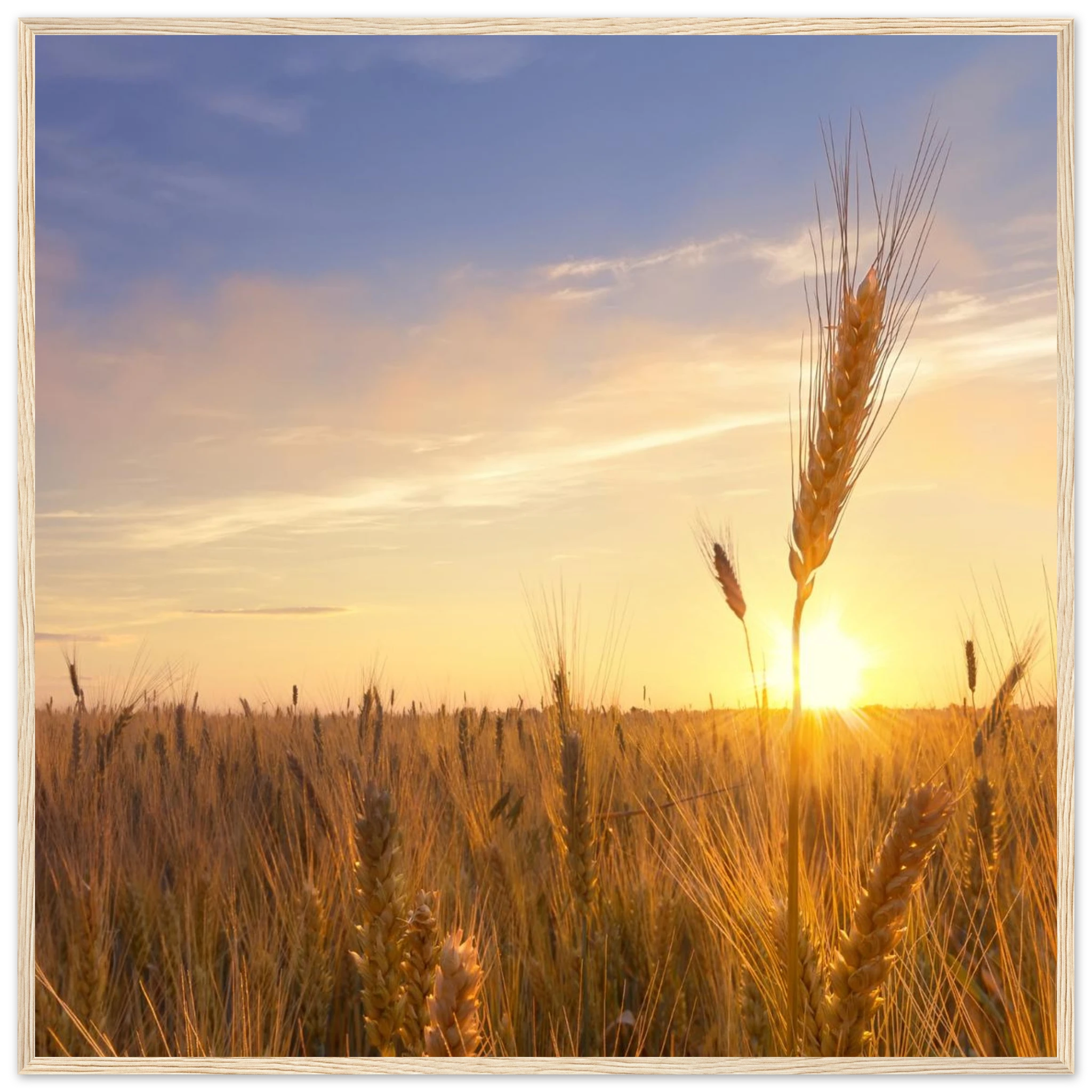 525e95c9-e824-4466-9522-d5cb4717ebec