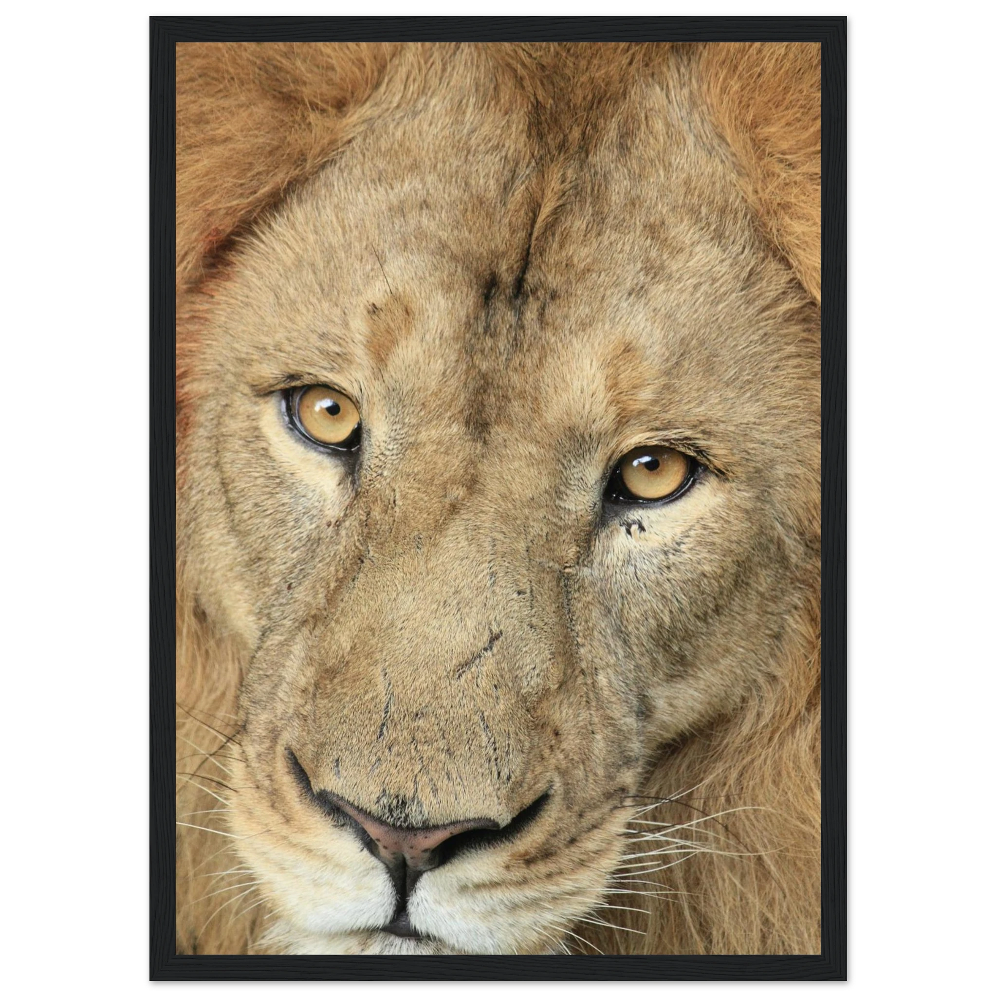 5292a832-4d0c-4875-9673-8ebefedd9d39