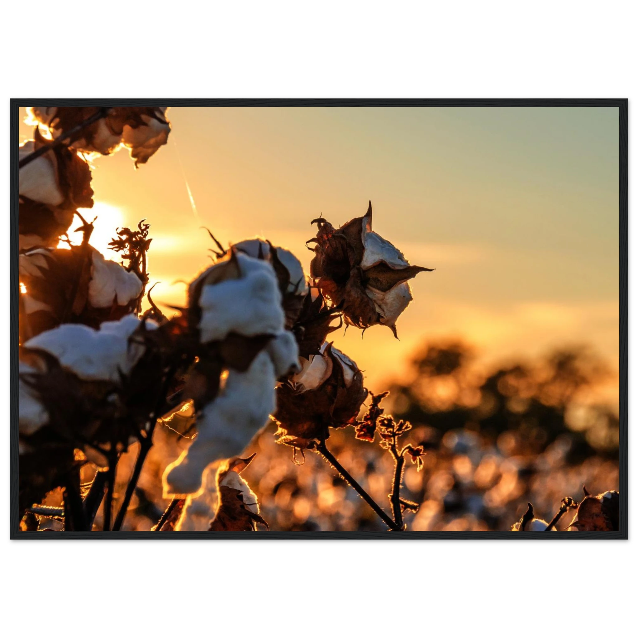 52a5d967-697d-4677-8b15-feb5d3ce2fa8