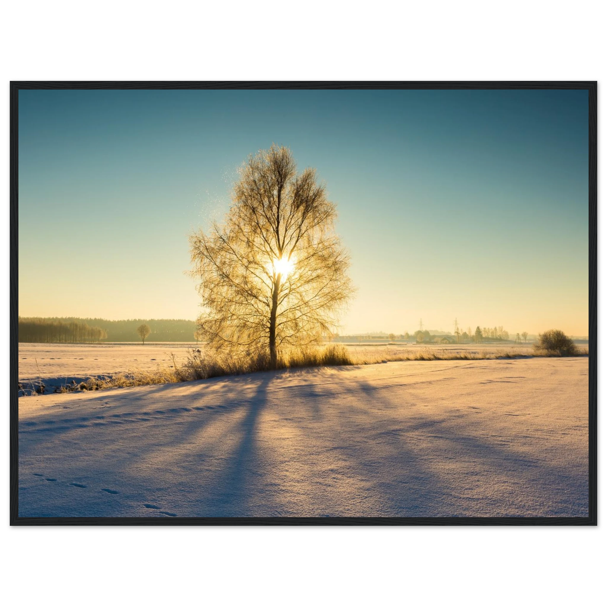 52a72064-f62a-42d0-a064-4564038f1299