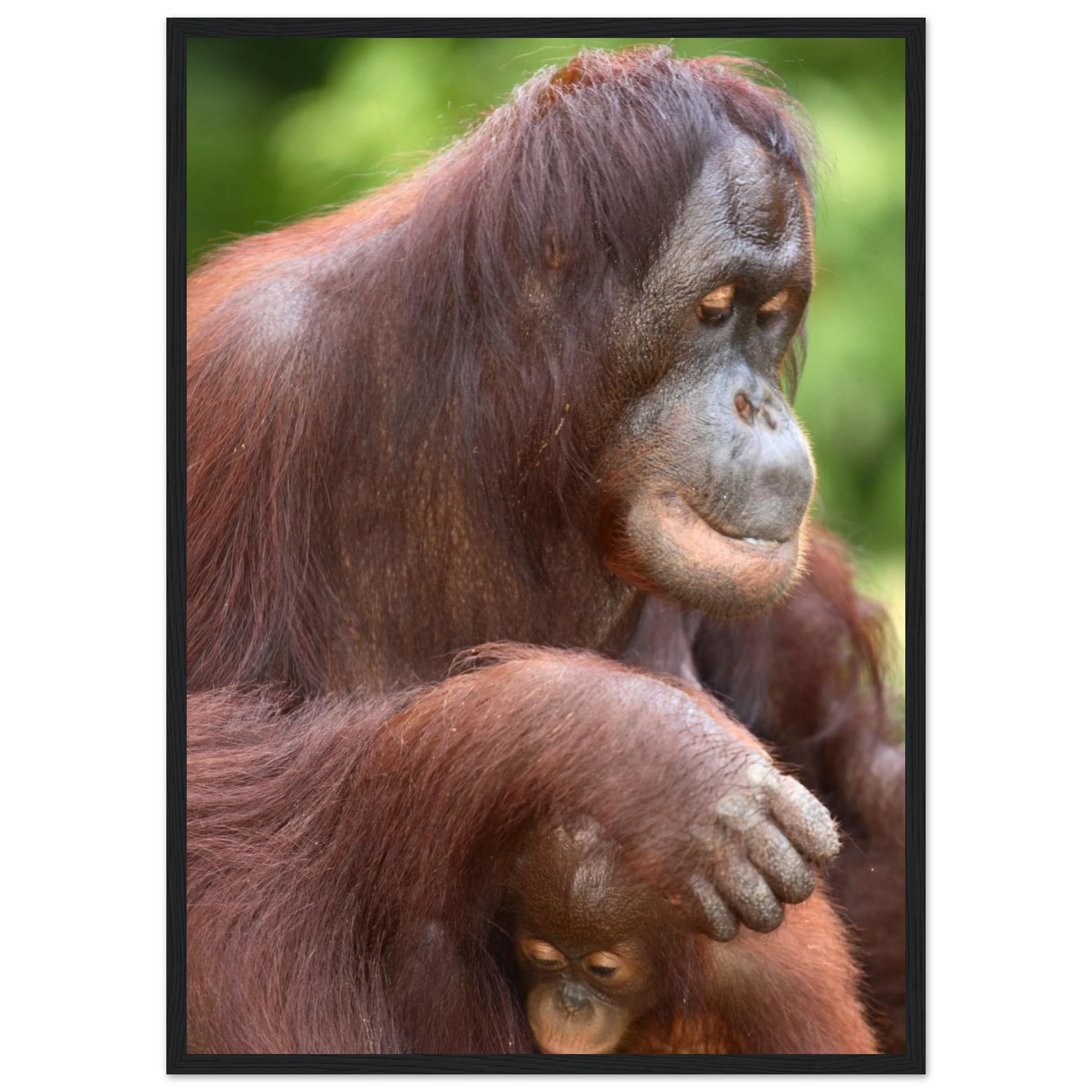 52aedcae-58cb-4116-a1af-23c2f9f72d32