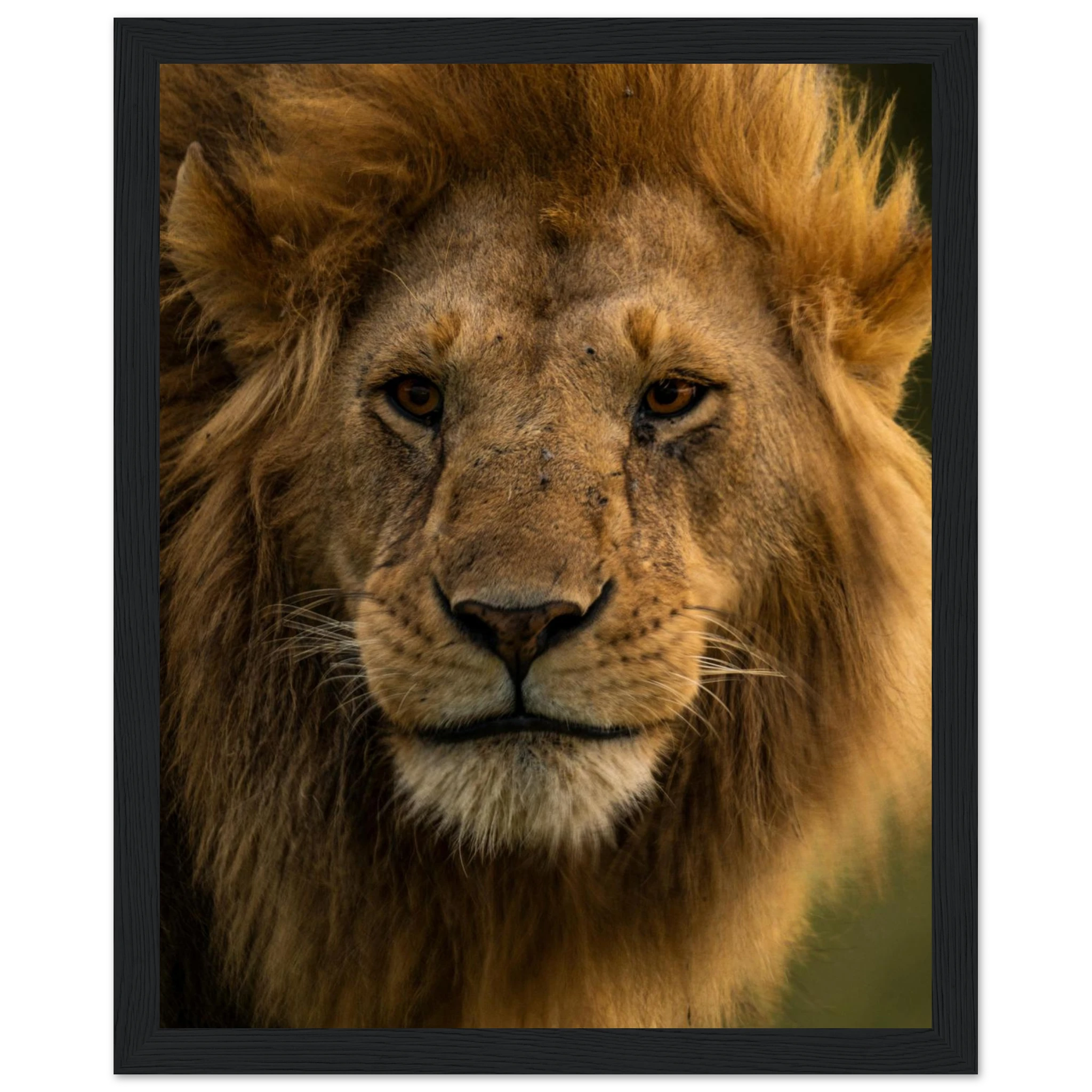 52afc4e4-99cc-44fd-83cb-05ae4719b787