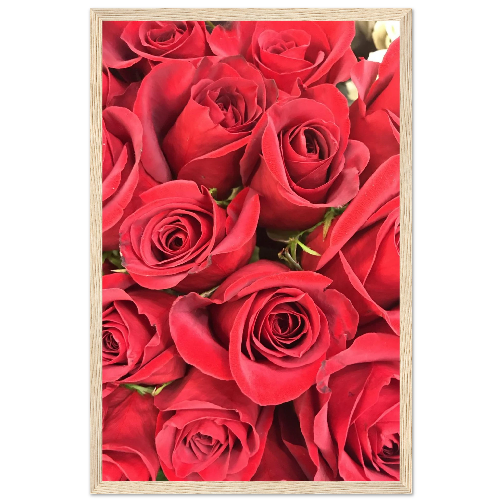 52becb30-8bf2-4df6-a38b-74e74b9c8aa5