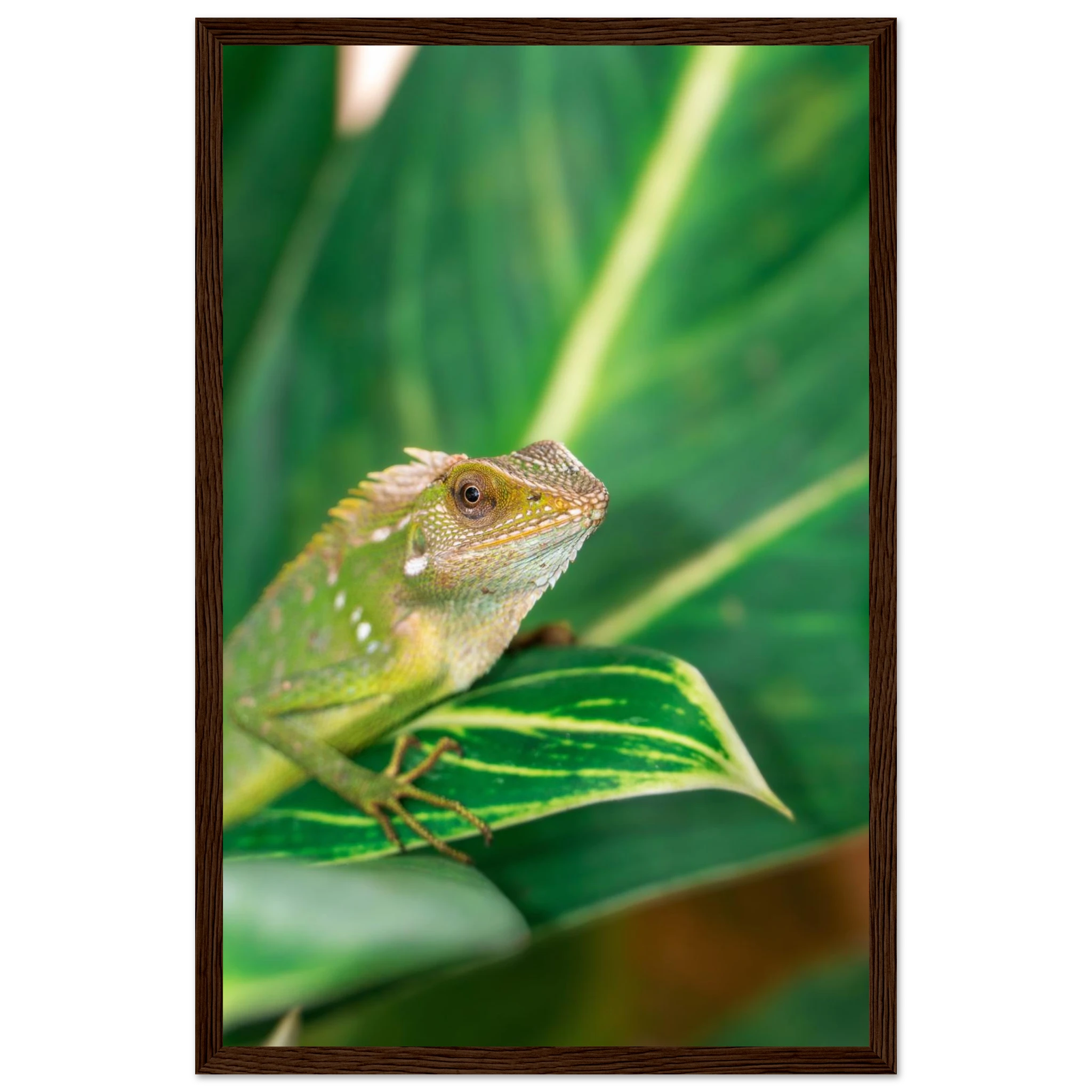 52d58cea-ee3d-4274-b33d-c9194f824b2e