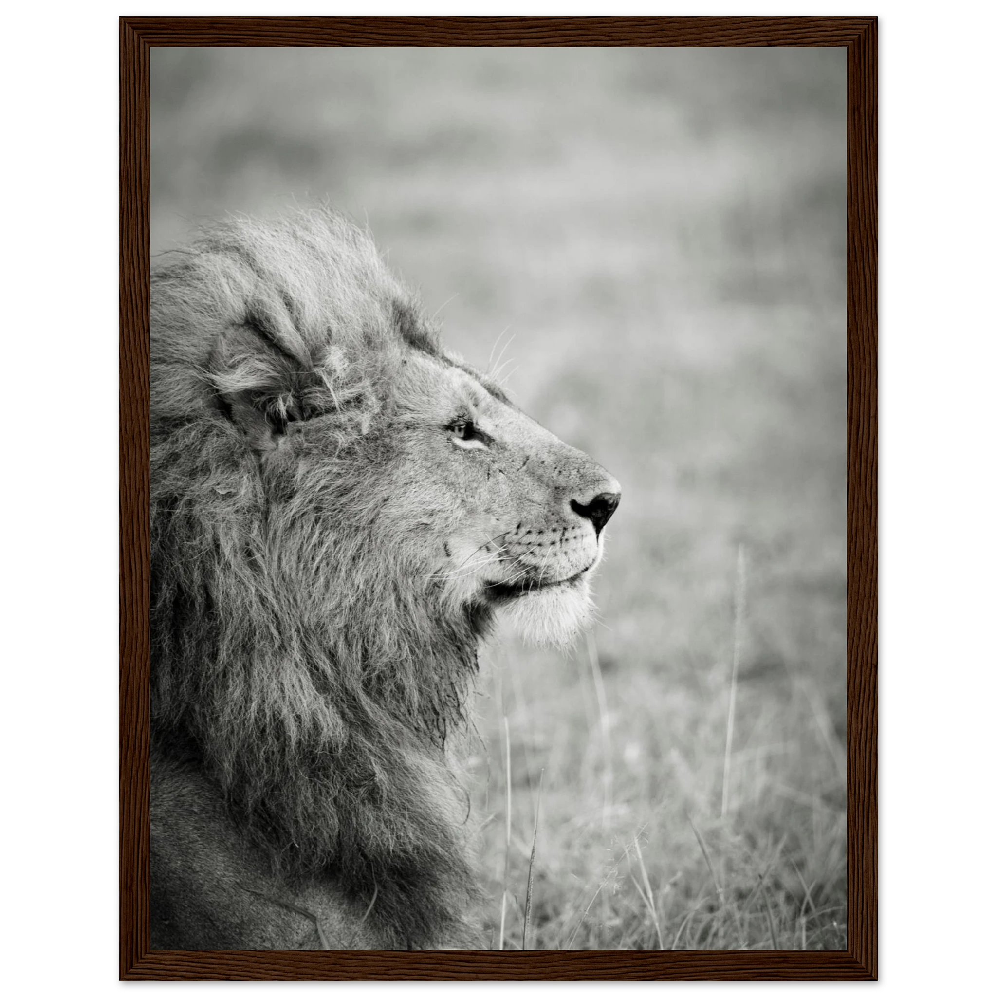 5316633d-724e-4c1b-b323-3e18722ced70