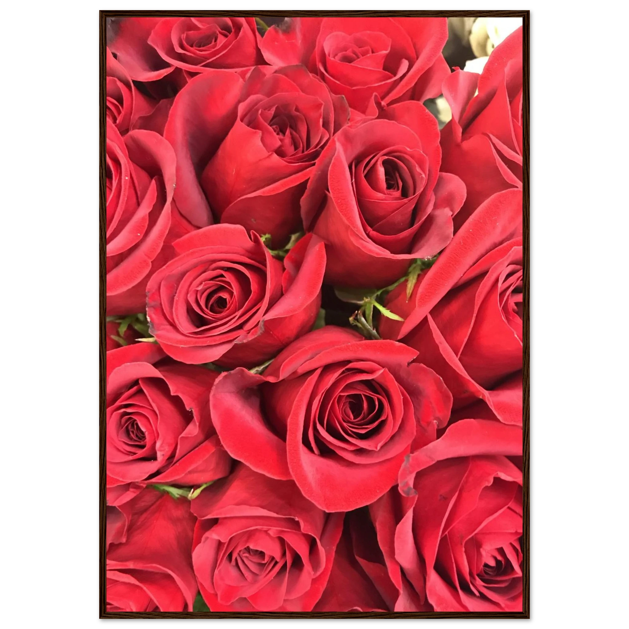 531a3fc9-53fa-4e32-8c31-6f01aa76b09c