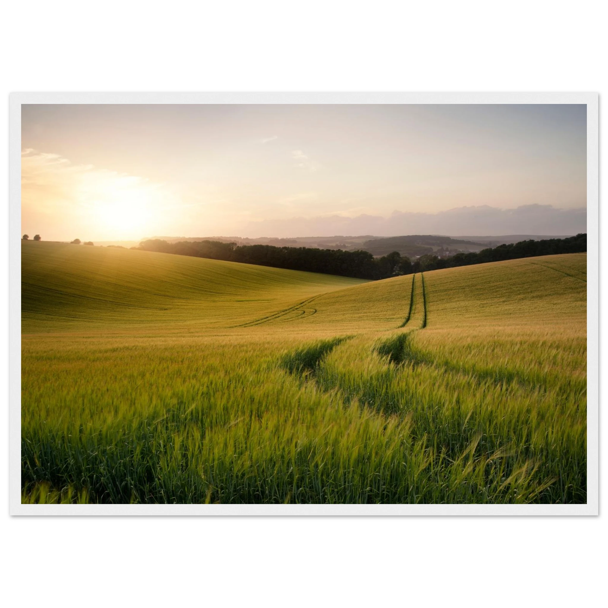 5324f1ee-6570-4e6e-95ce-60b91f25d81e