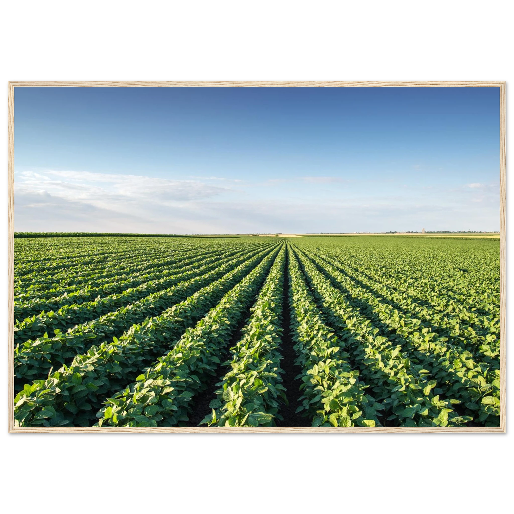 53263138-9a6d-4587-bd26-31355b1548e3