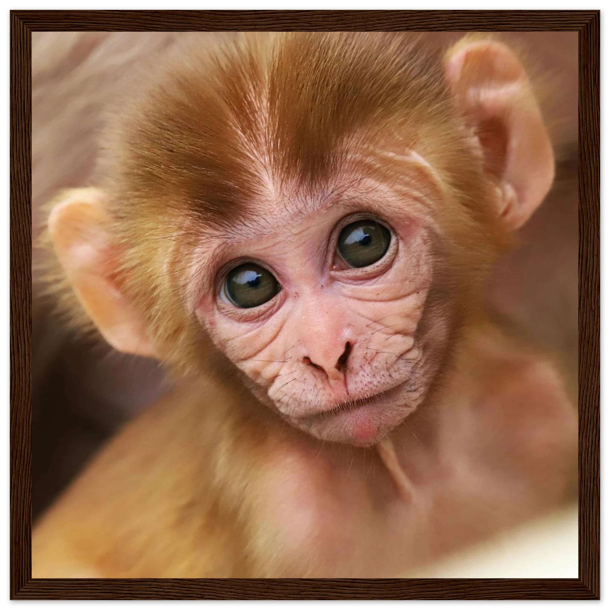 534d899a-5cb4-49fe-b32e-82dcd14652d1