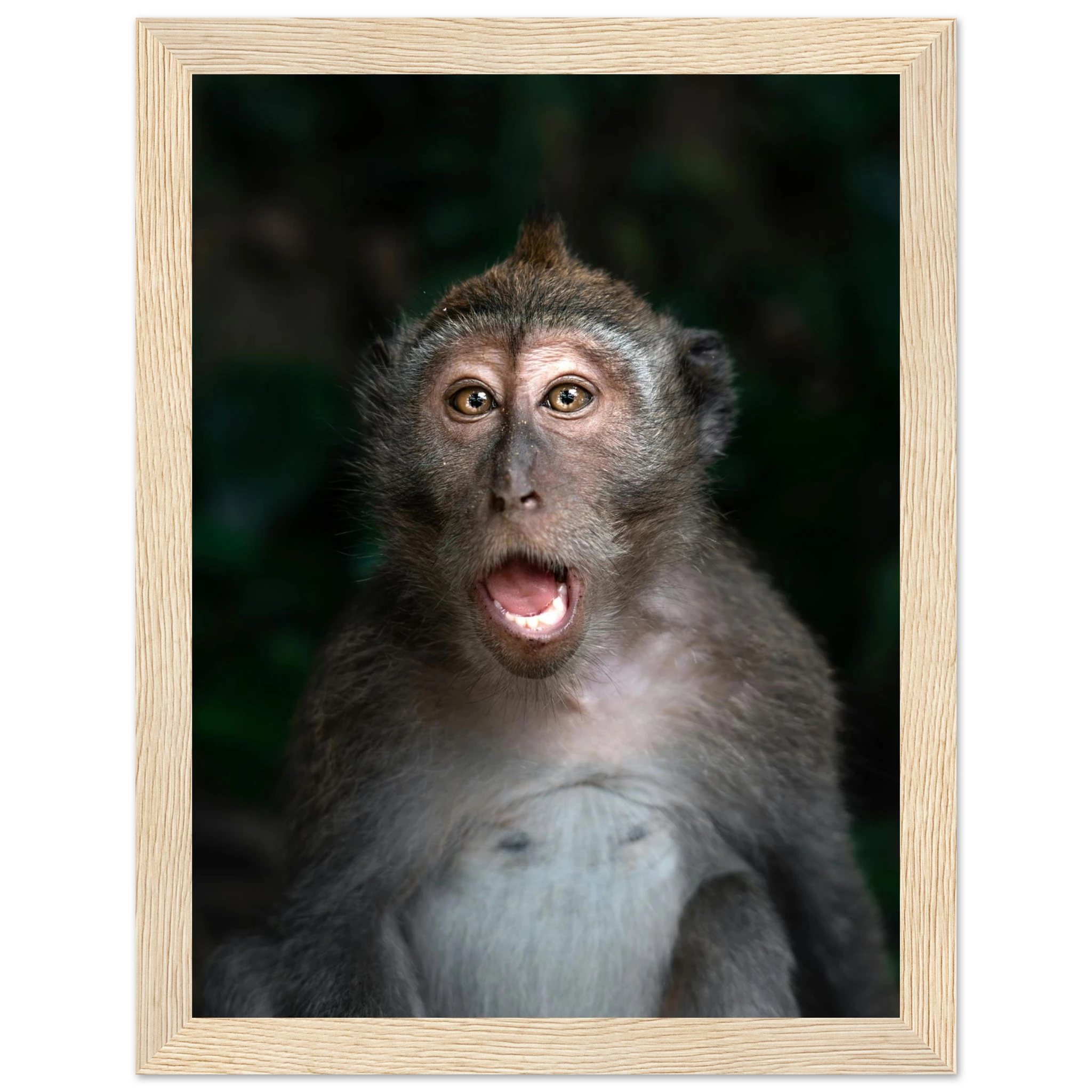 534ddb5a-828a-493d-b894-770b6fa5fc8b