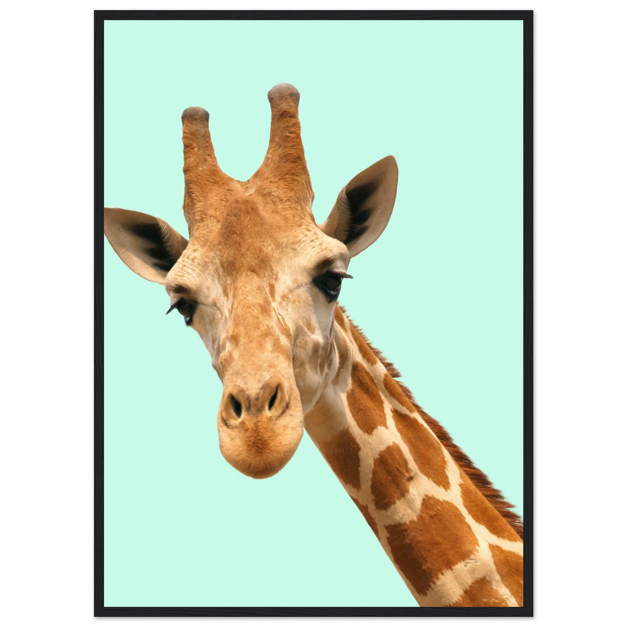 53961d6f-d724-41af-91a8-b270fff592f1