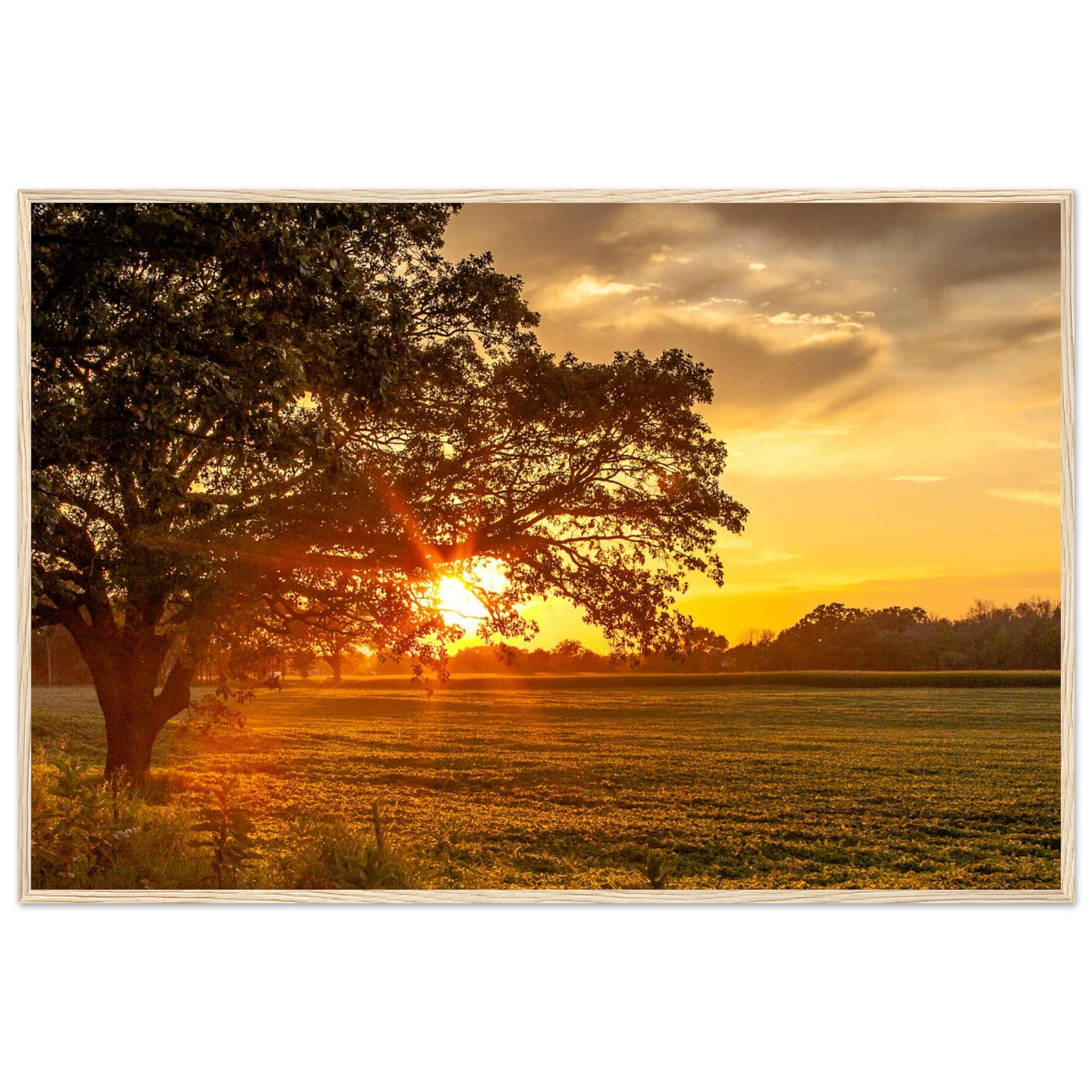 53987e4a-74d7-4f08-9d5c-2c7ed26e9c2d