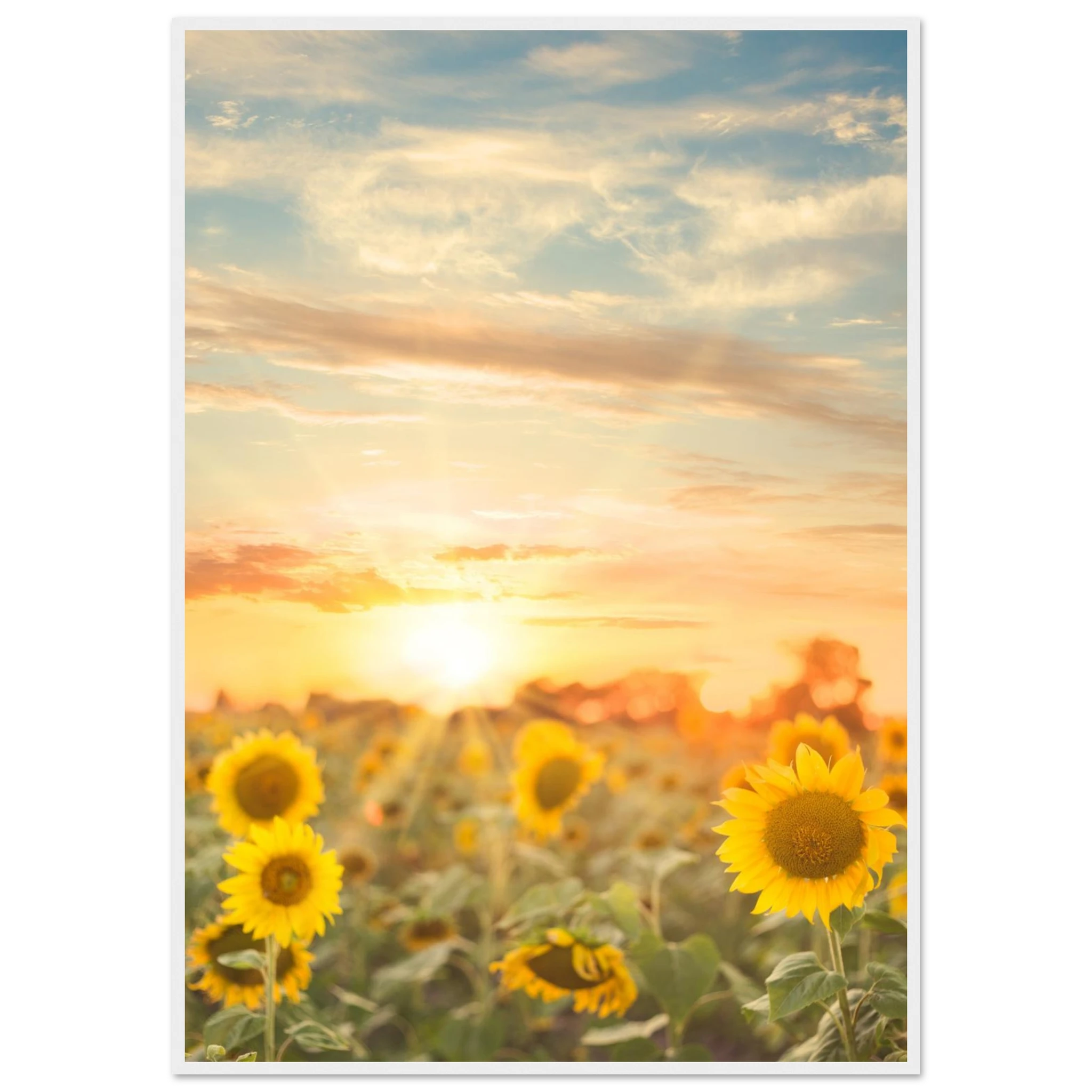 53a41caa-1591-4167-926d-2aebd1a4a1c2