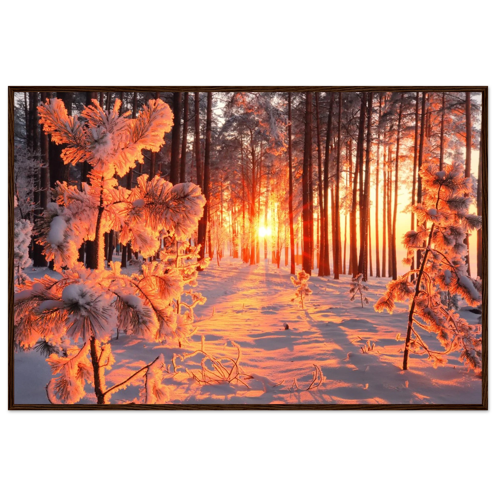 53c68500-129d-403d-9a98-646b2c214d53