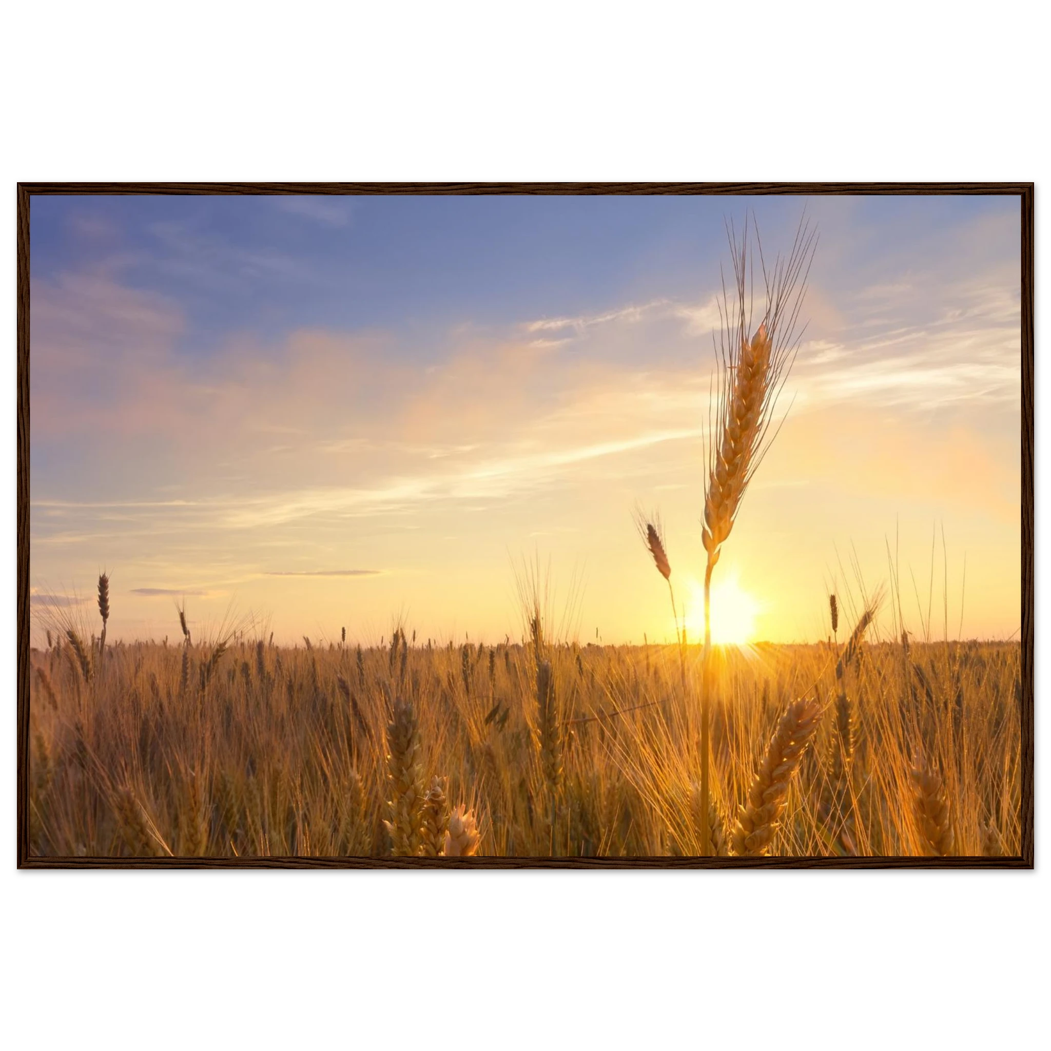 53db5ac8-5302-41a3-adba-3eca1369bc2b