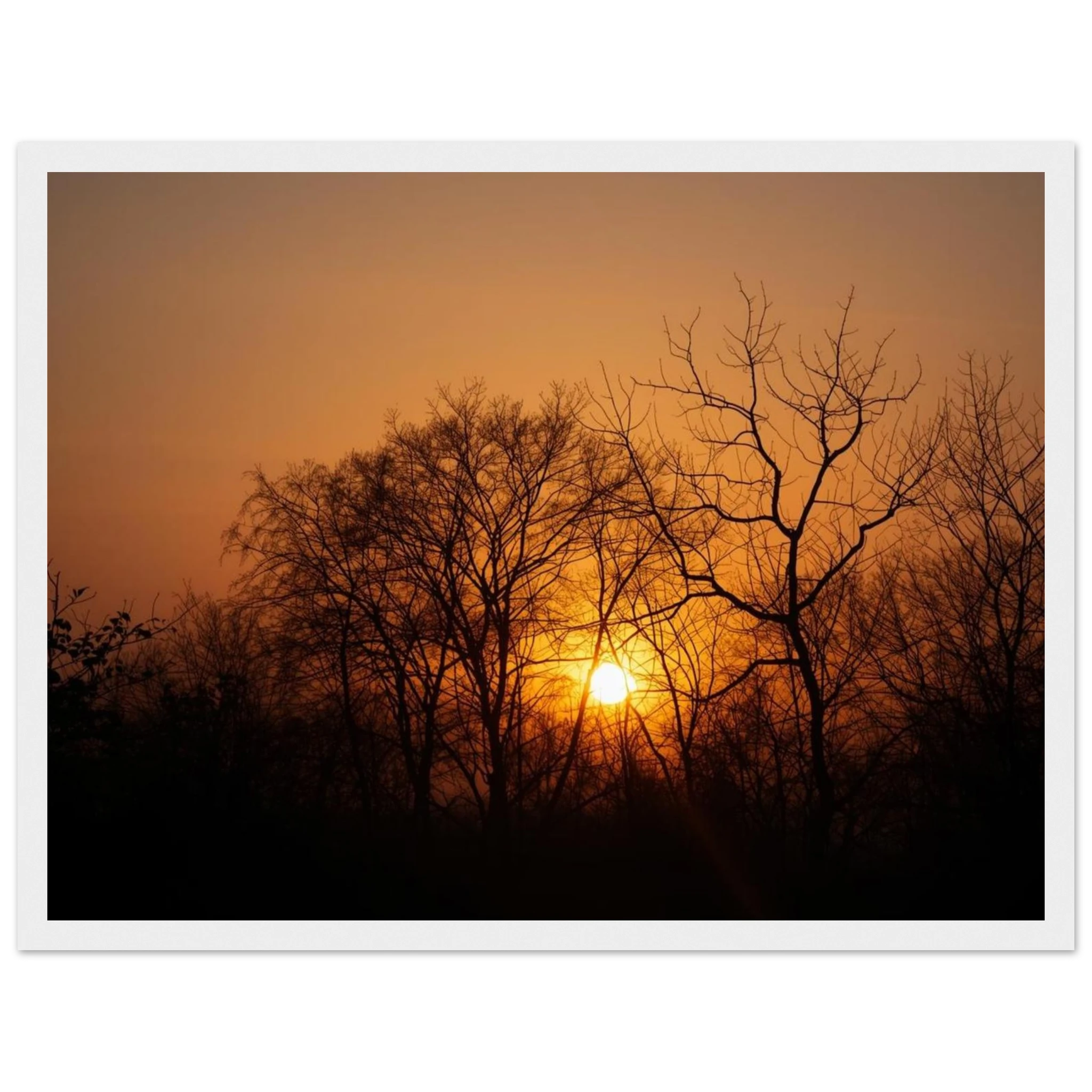 53e2da48-3ff9-452e-8a48-6fd0f8ac3778