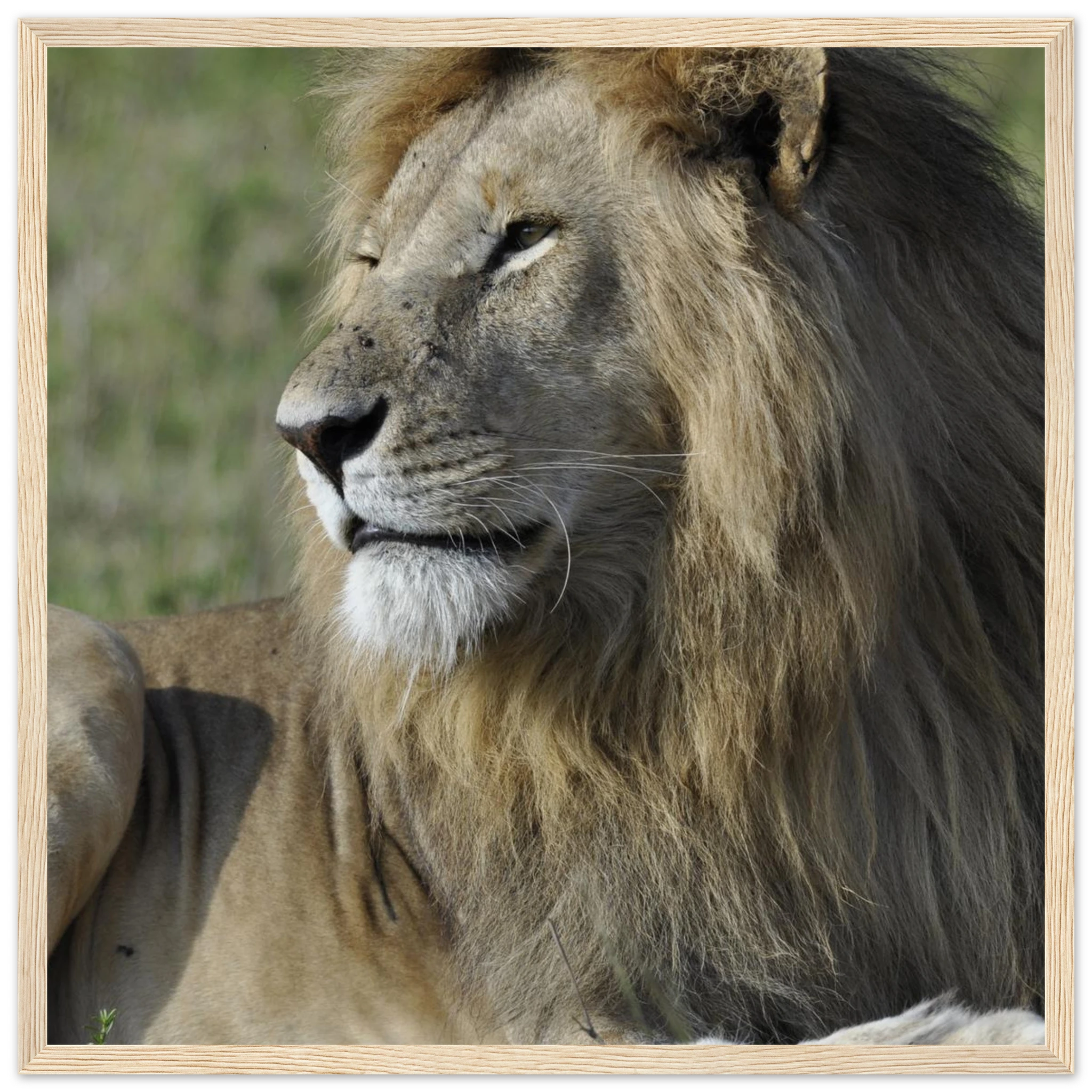 53e6ff68-73f3-4166-ab6e-efc579f3a869