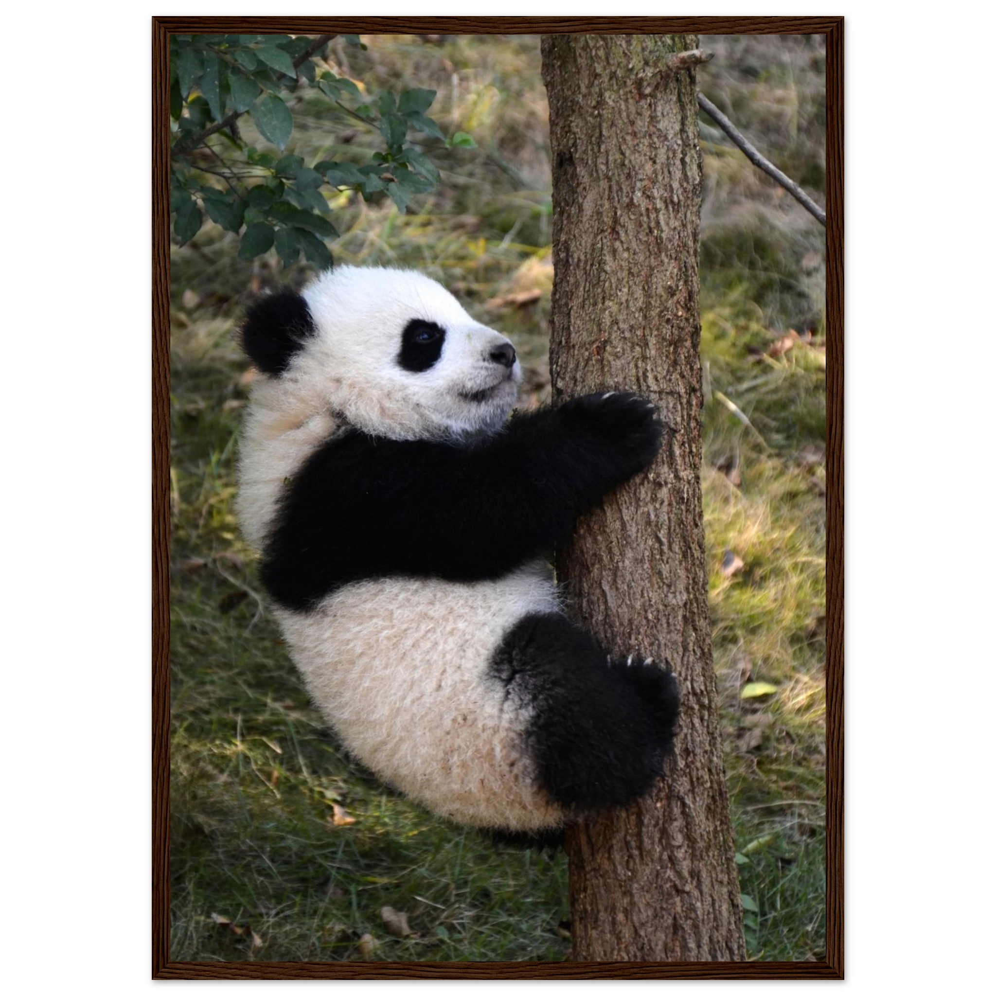 53fc0592-6089-4dcc-b6f2-9926e97ffcf8