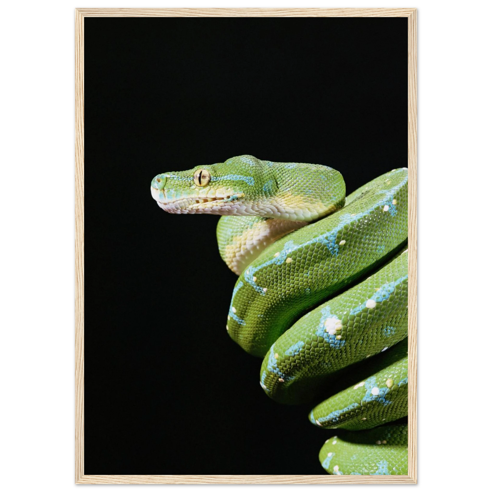 5431865e-0558-46ab-bbff-4f90571aad5e