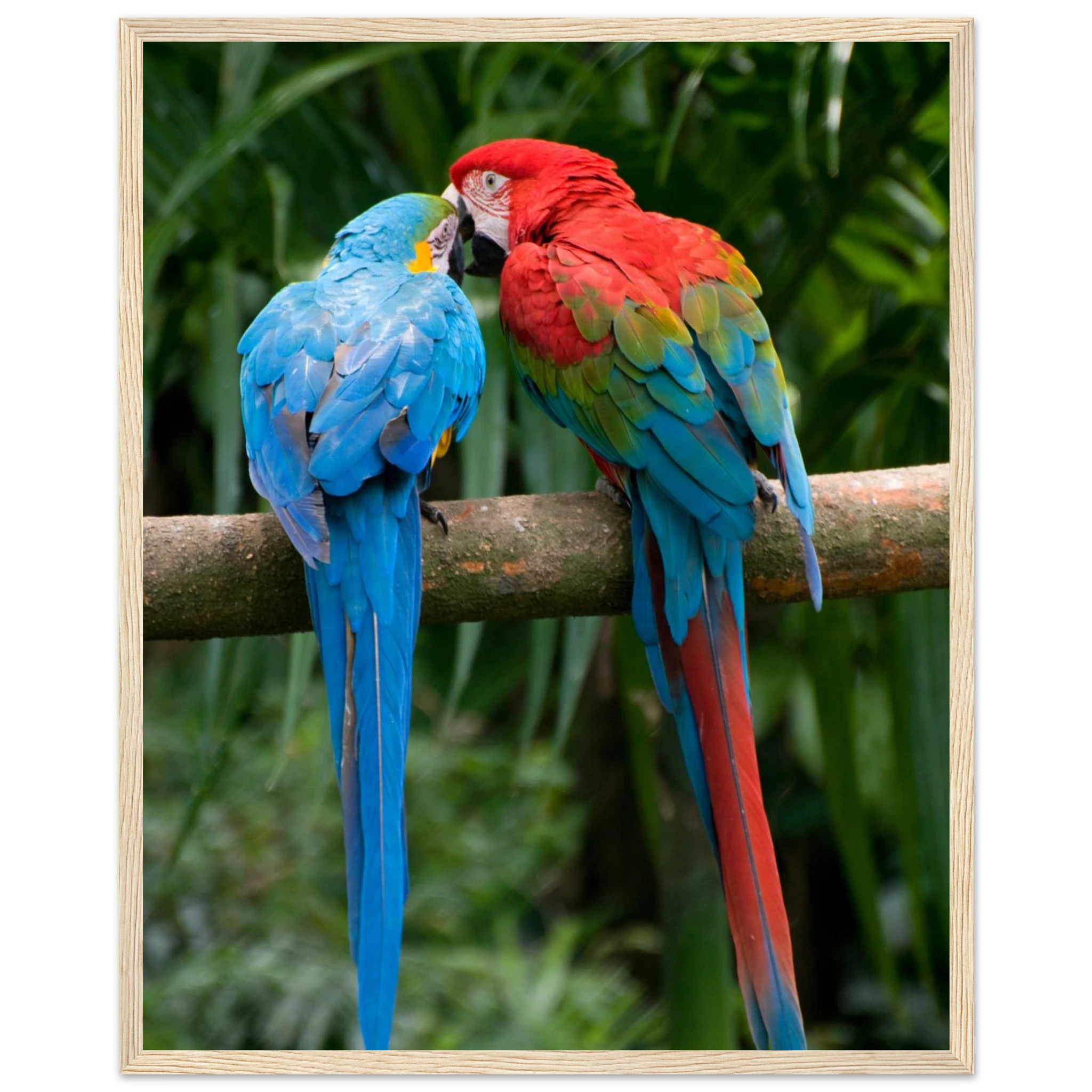 543a9196-0430-4841-a7db-c5cdcb2d63dc