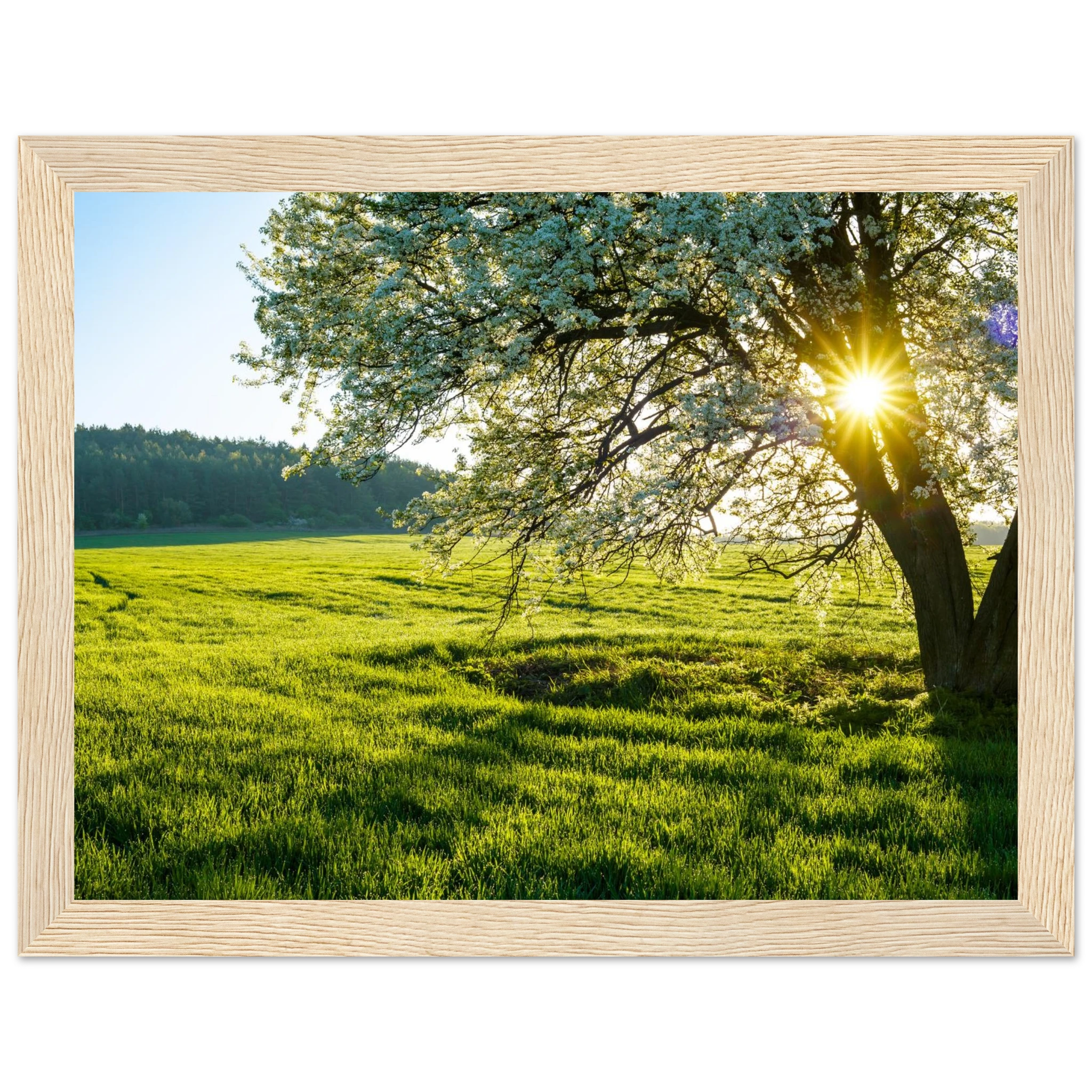 544865b2-97b7-4615-91d2-0fa749a6b6bb