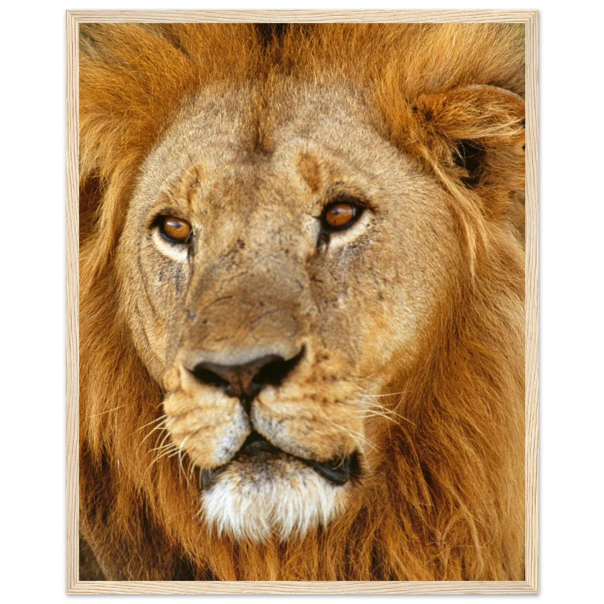 5448f4b1-22b5-4f80-b27e-14038ae959e3