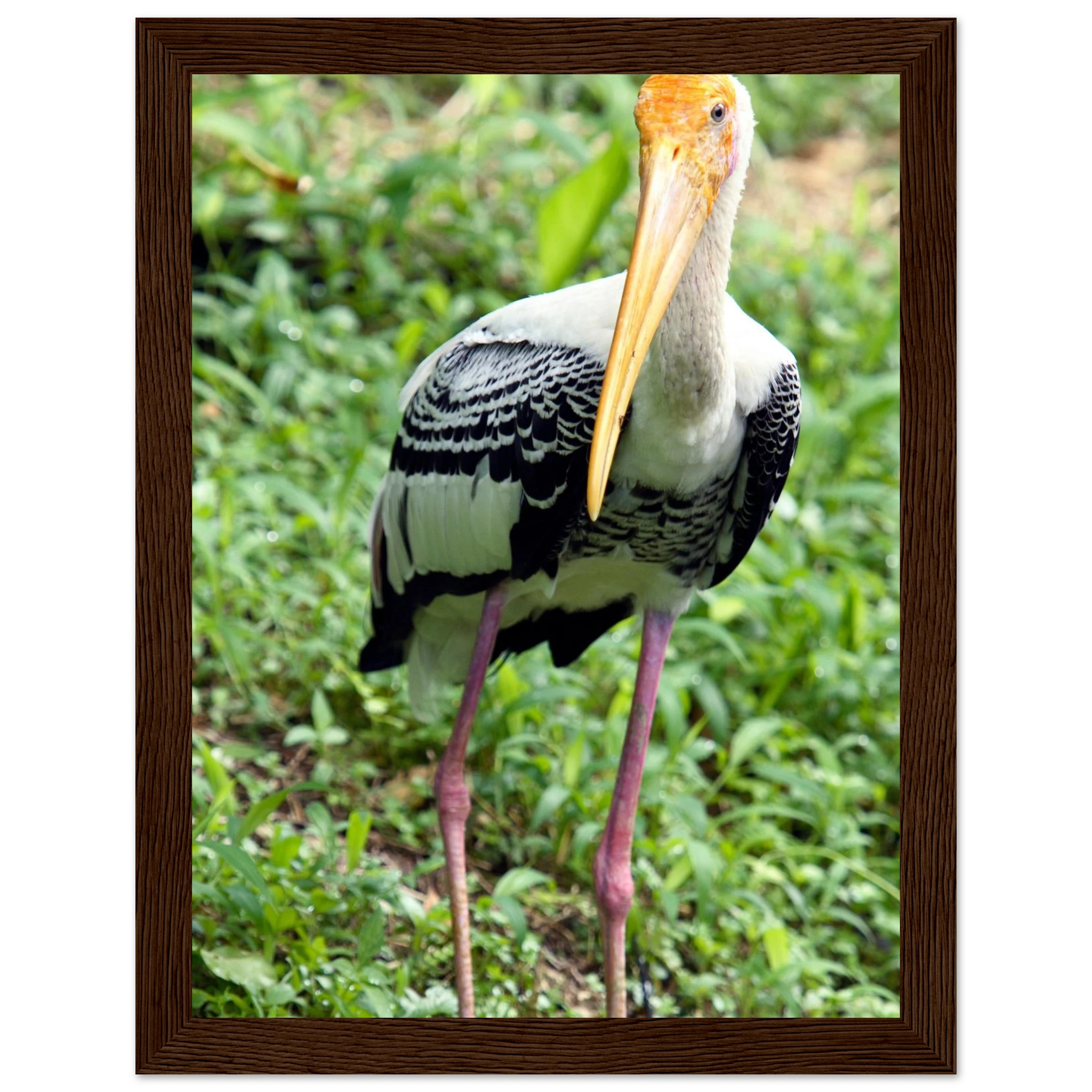 544cdcde-07f4-4039-adec-1b1598a43946