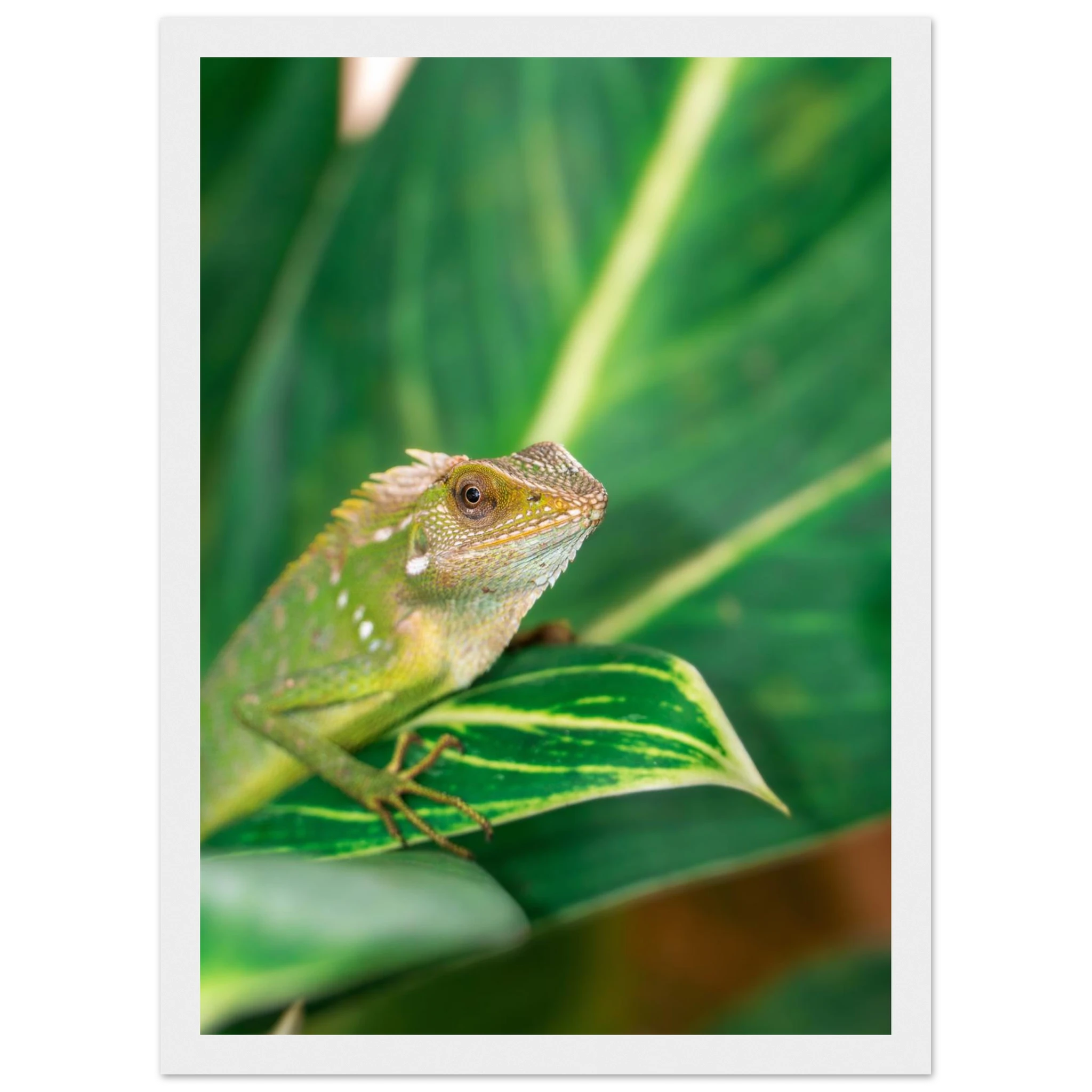 5450fb92-27a7-4a24-9071-12b3fa7cc4f6