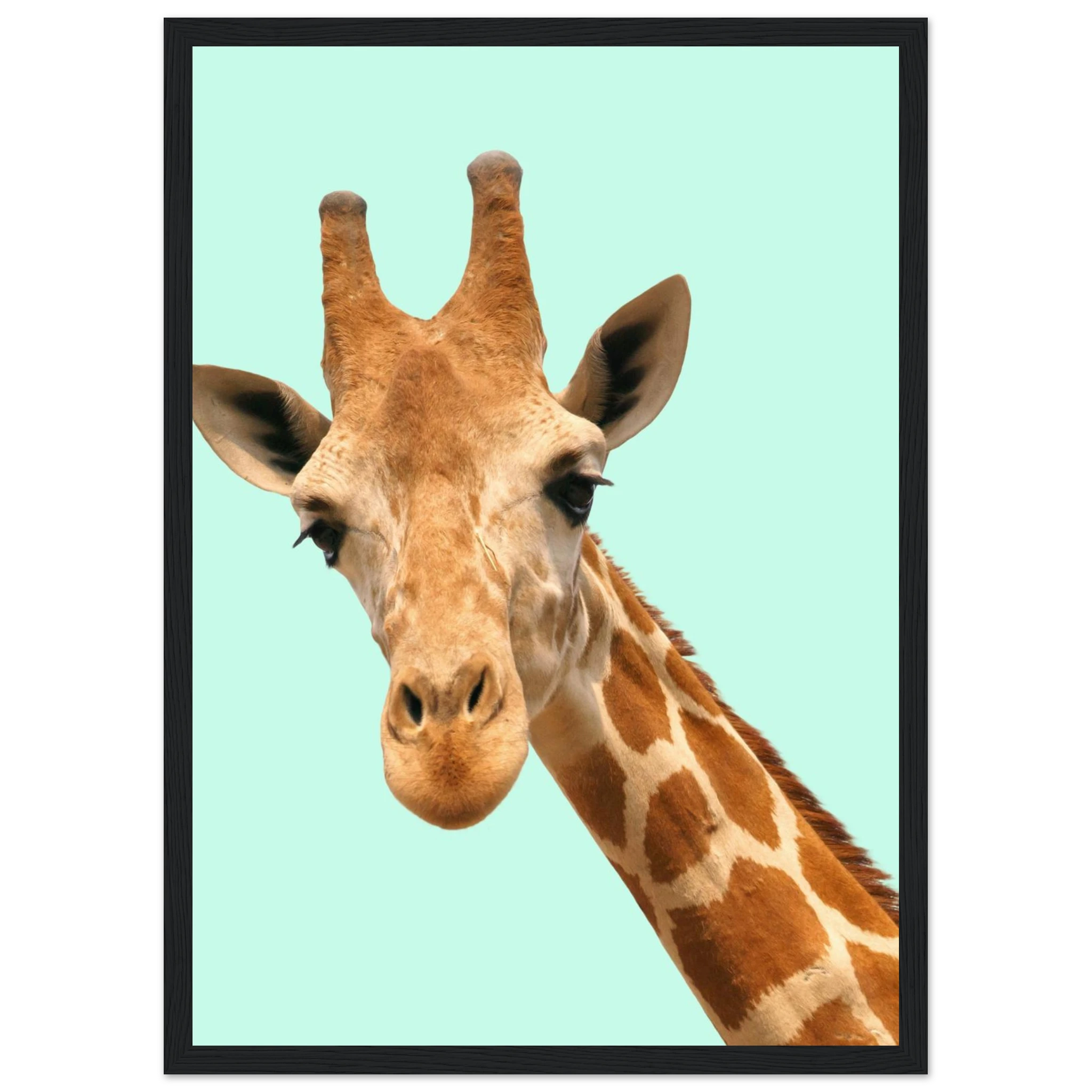 5476196b-bb95-4fa5-850e-280e321a34cd