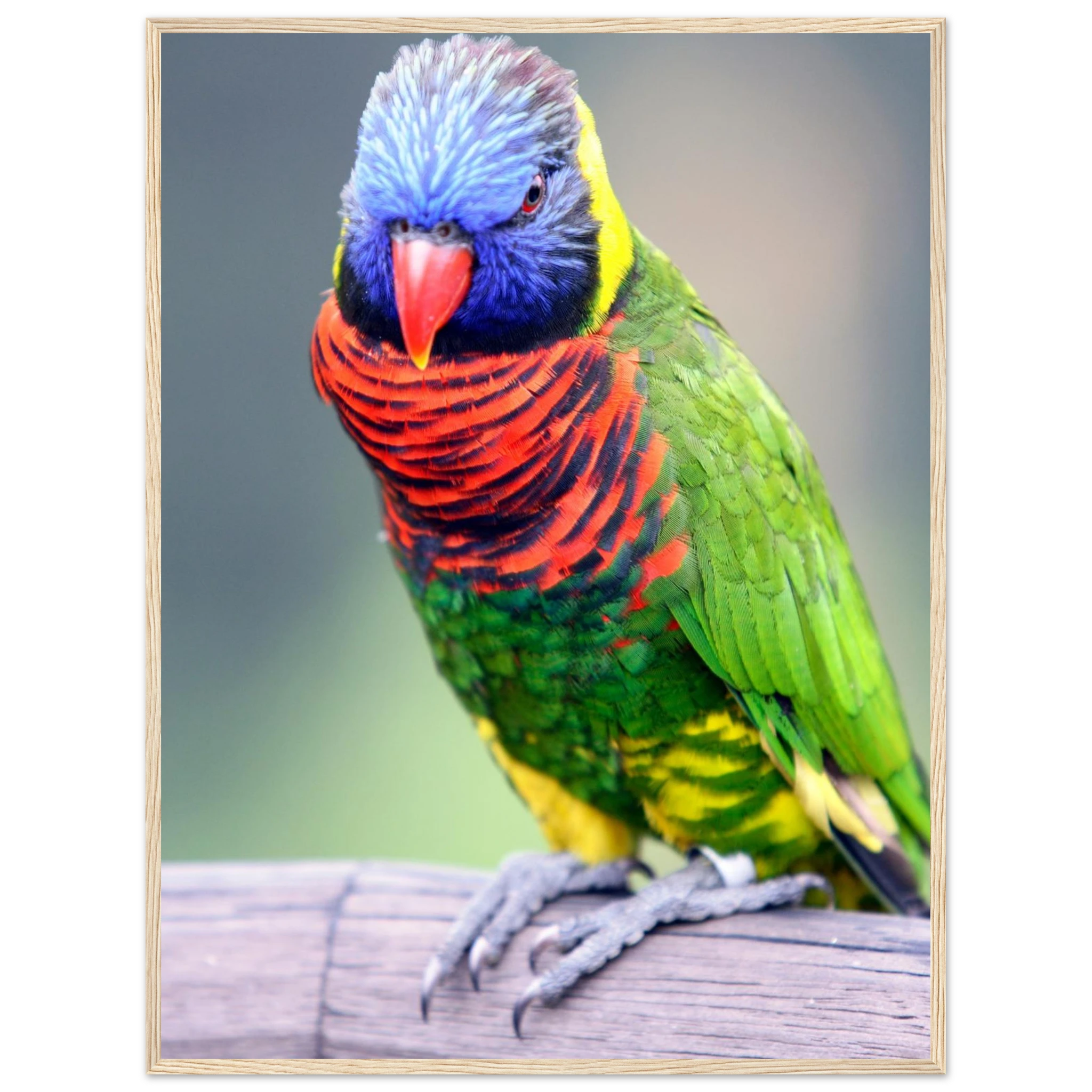 54a257ab-2b0a-4f35-8a45-653ba1919a20