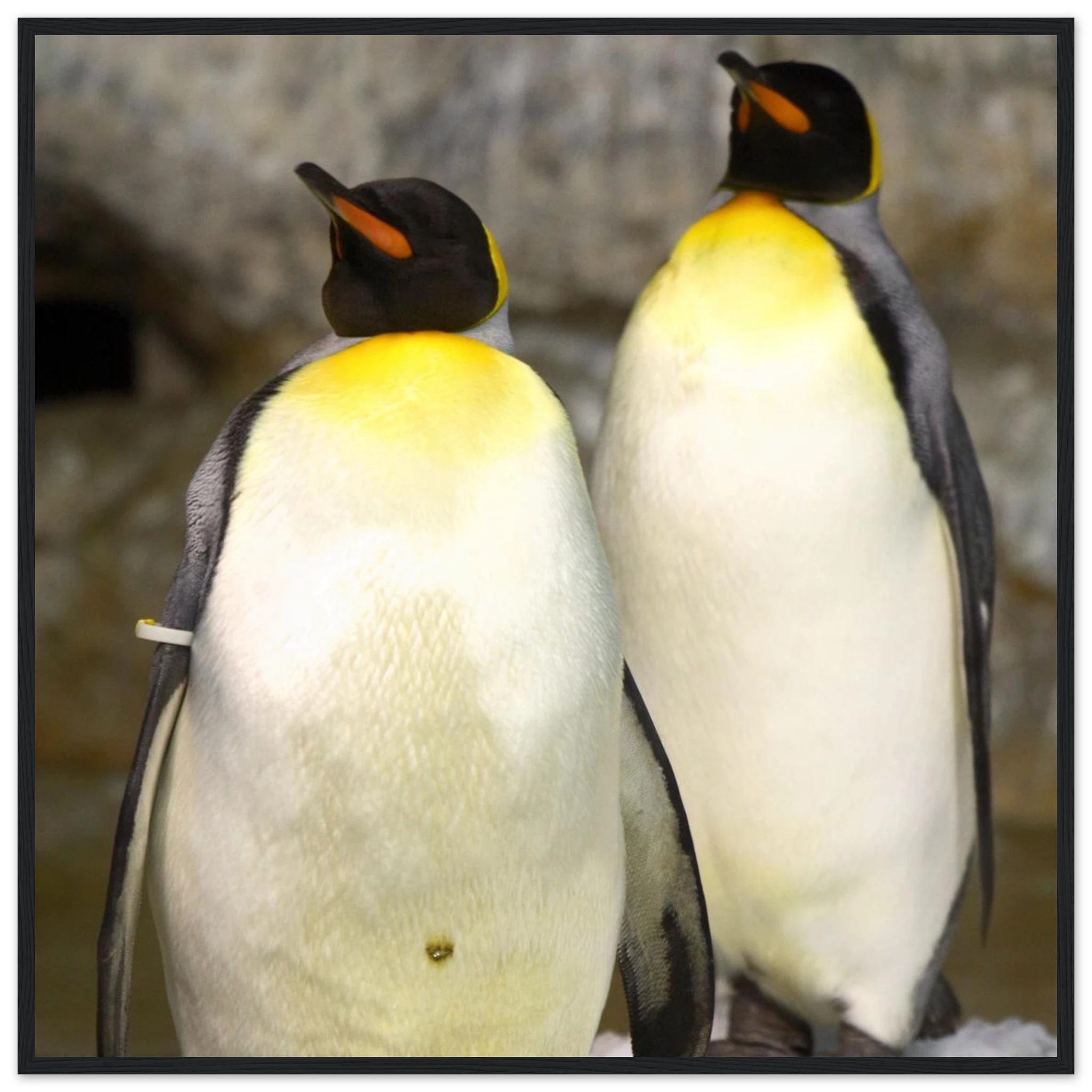 54a54645-52ee-4f48-9a47-15385aebfde5