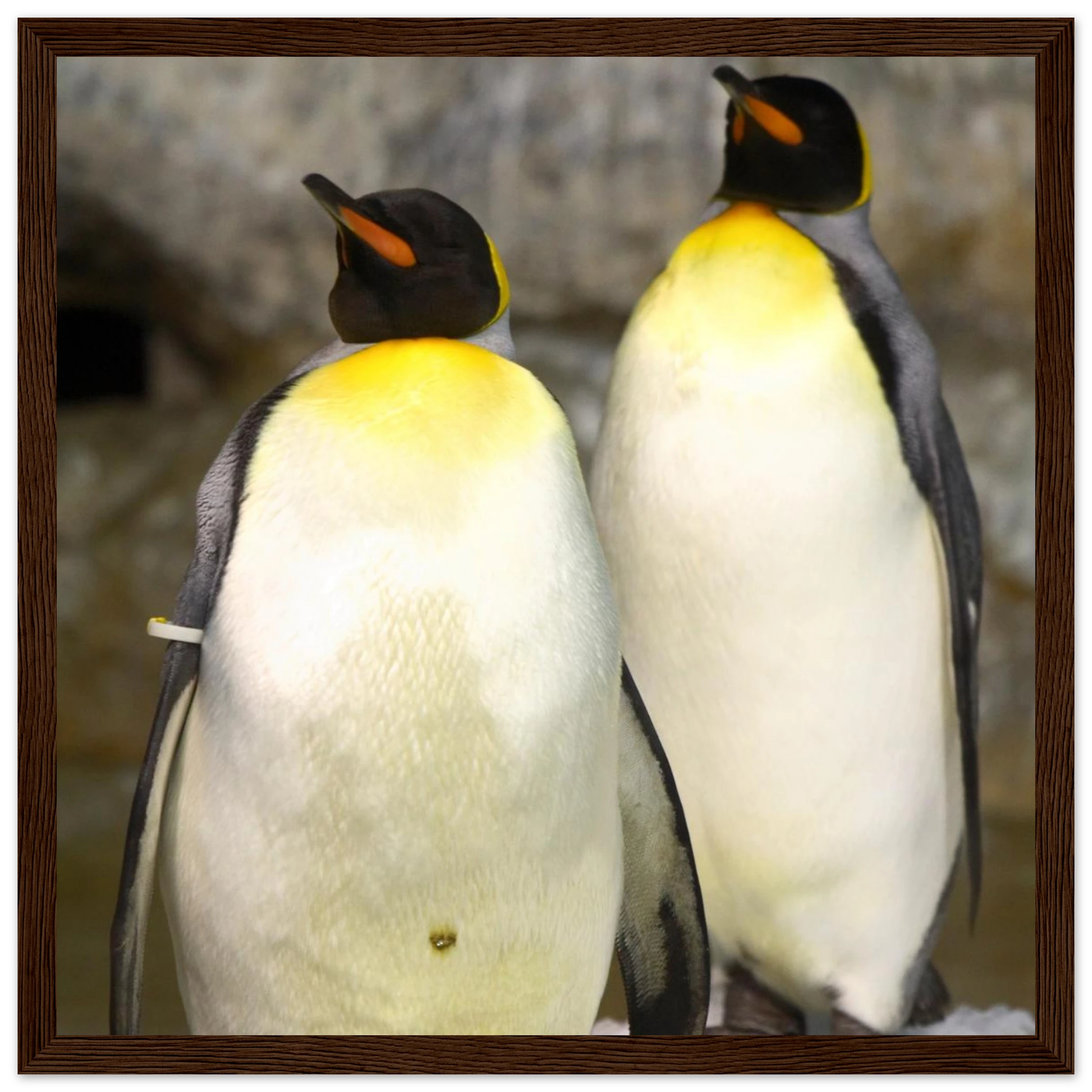 54cf6726-9dd3-4afc-ac60-083700d5ffb3