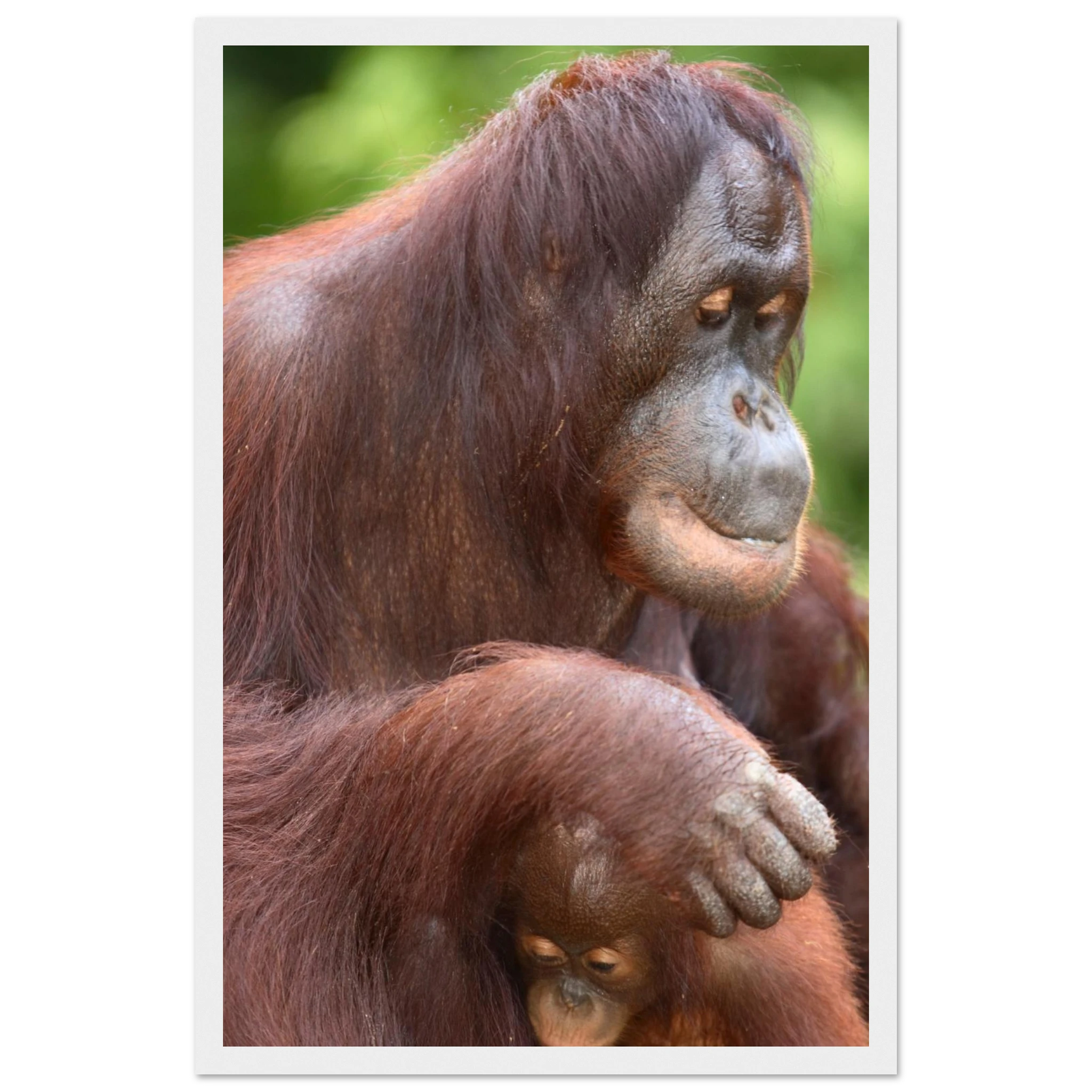 54da3d0e-28cd-4a16-9ff2-4b40088ddbaa