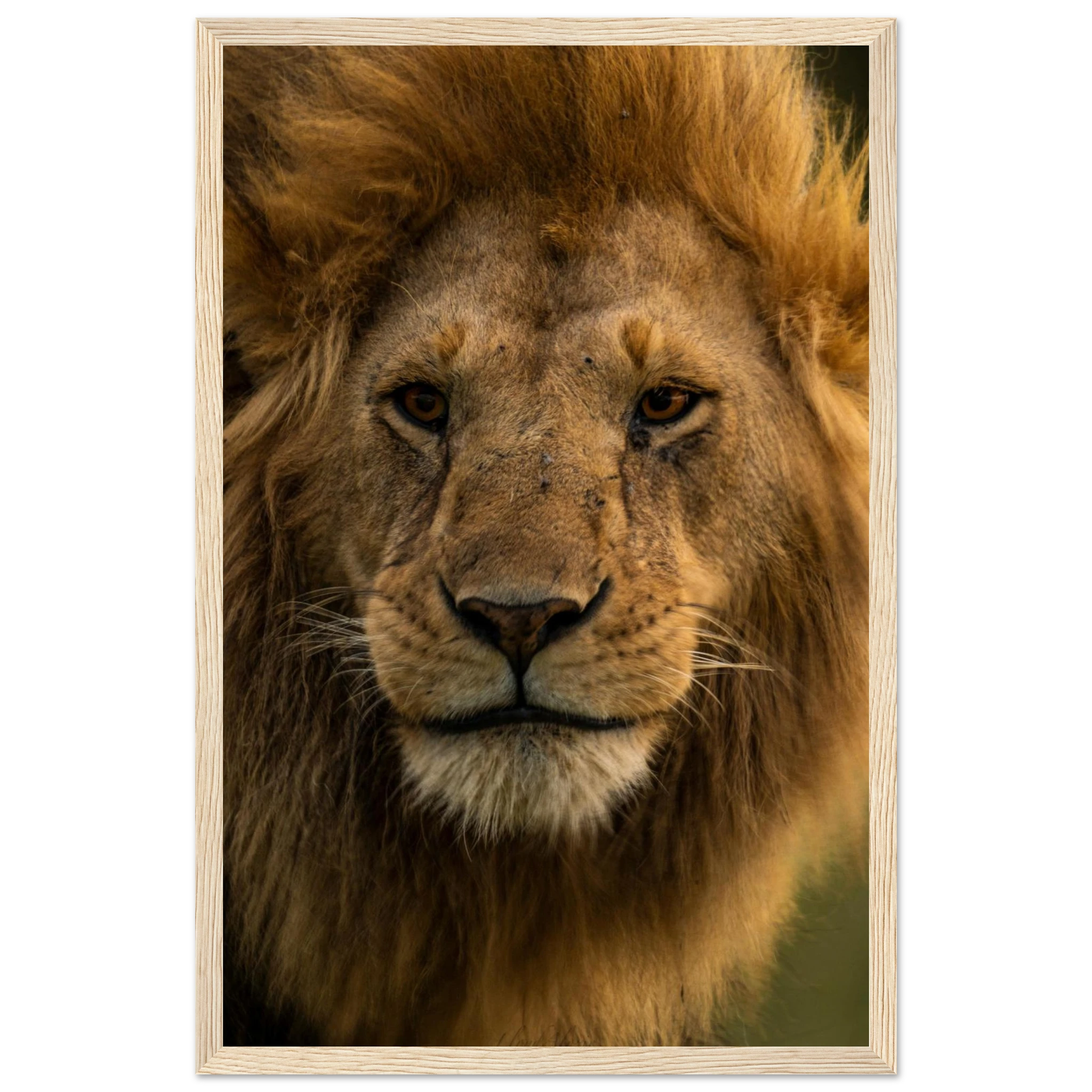 54e8ab91-13bf-453d-afac-12567dff069c