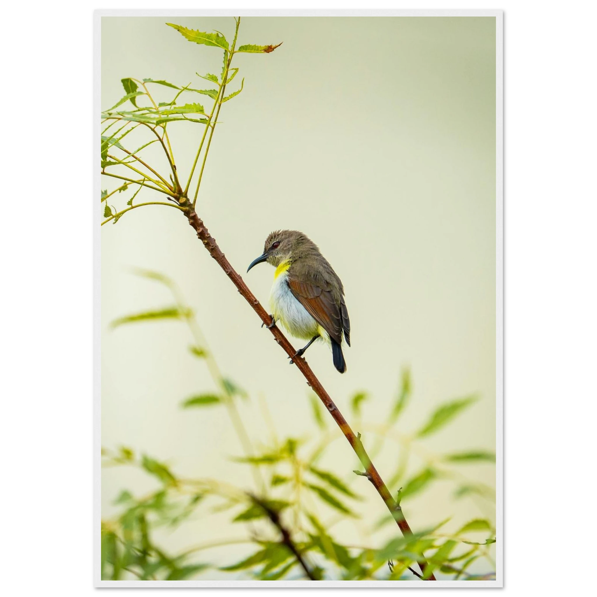 54ff214c-c5de-4477-b2a1-e3aca92321a6