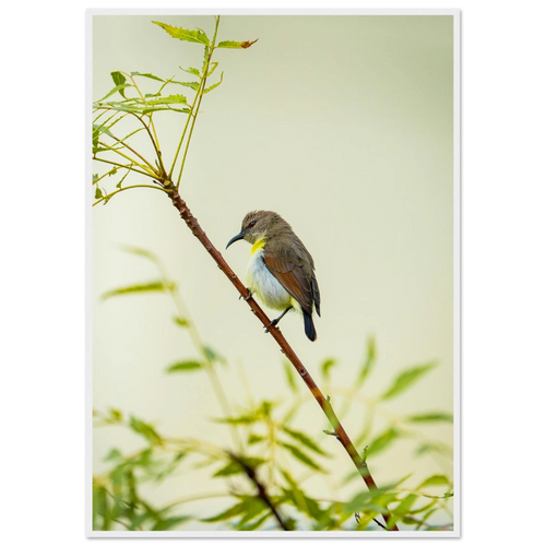 54ff214c-c5de-4477-b2a1-e3aca92321a6