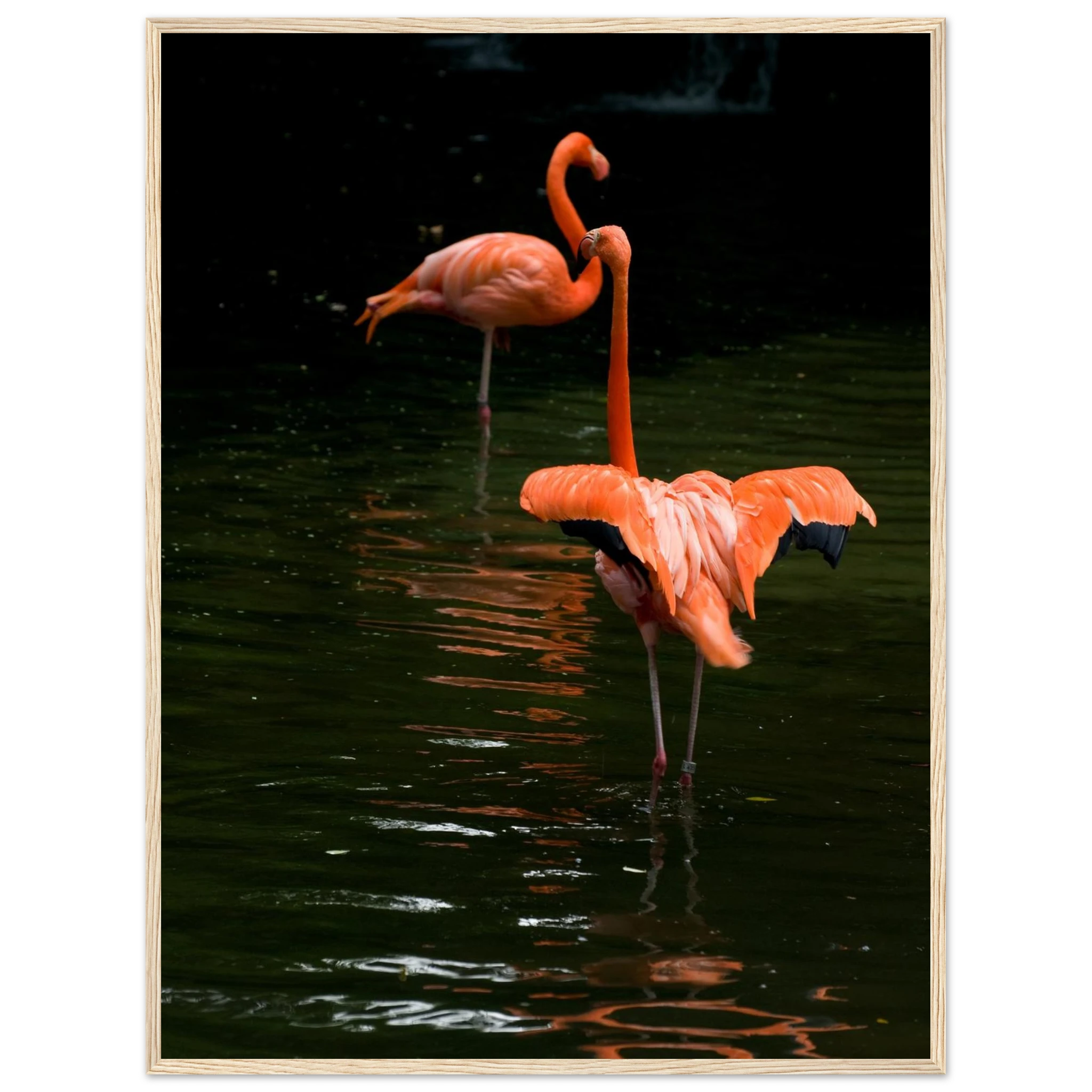 550ed58b-baf2-41f1-9d23-39ed0f9c0e5a