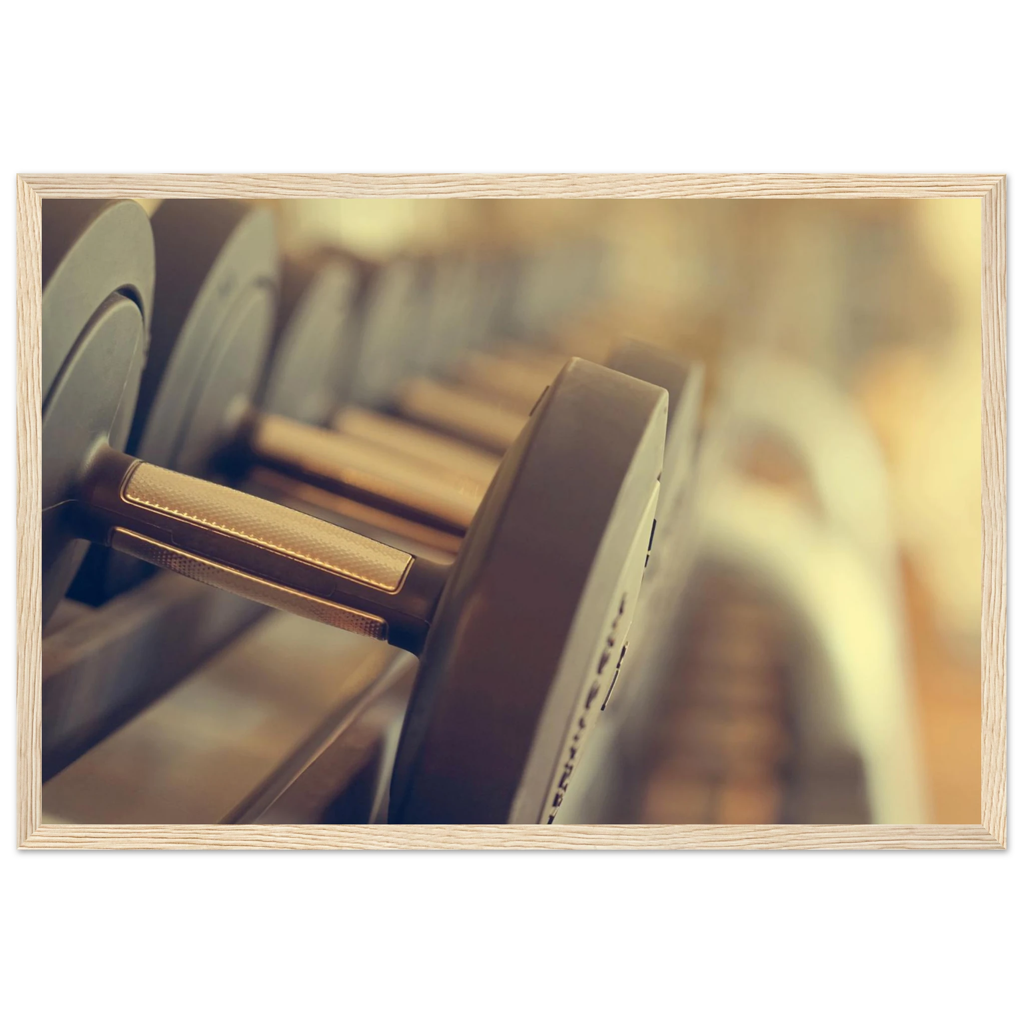 5516ae94-9fb0-4387-a5bb-185b1d67e645