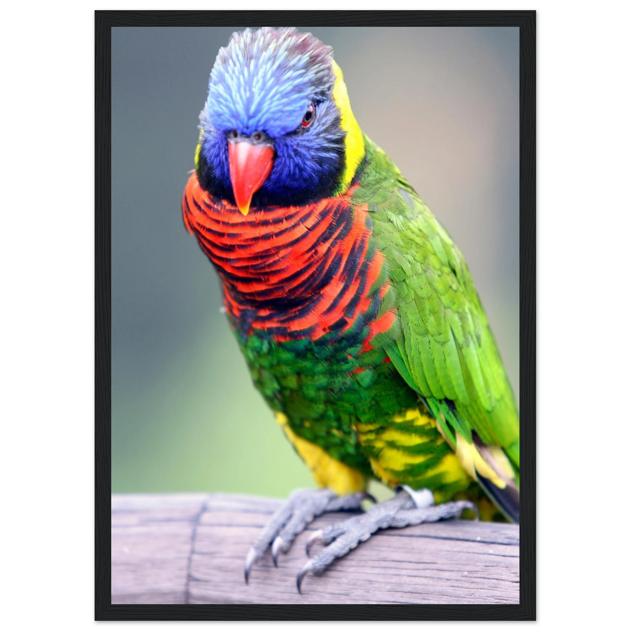 5530e1d7-7ba2-47e7-86a0-8ca19cf9d783