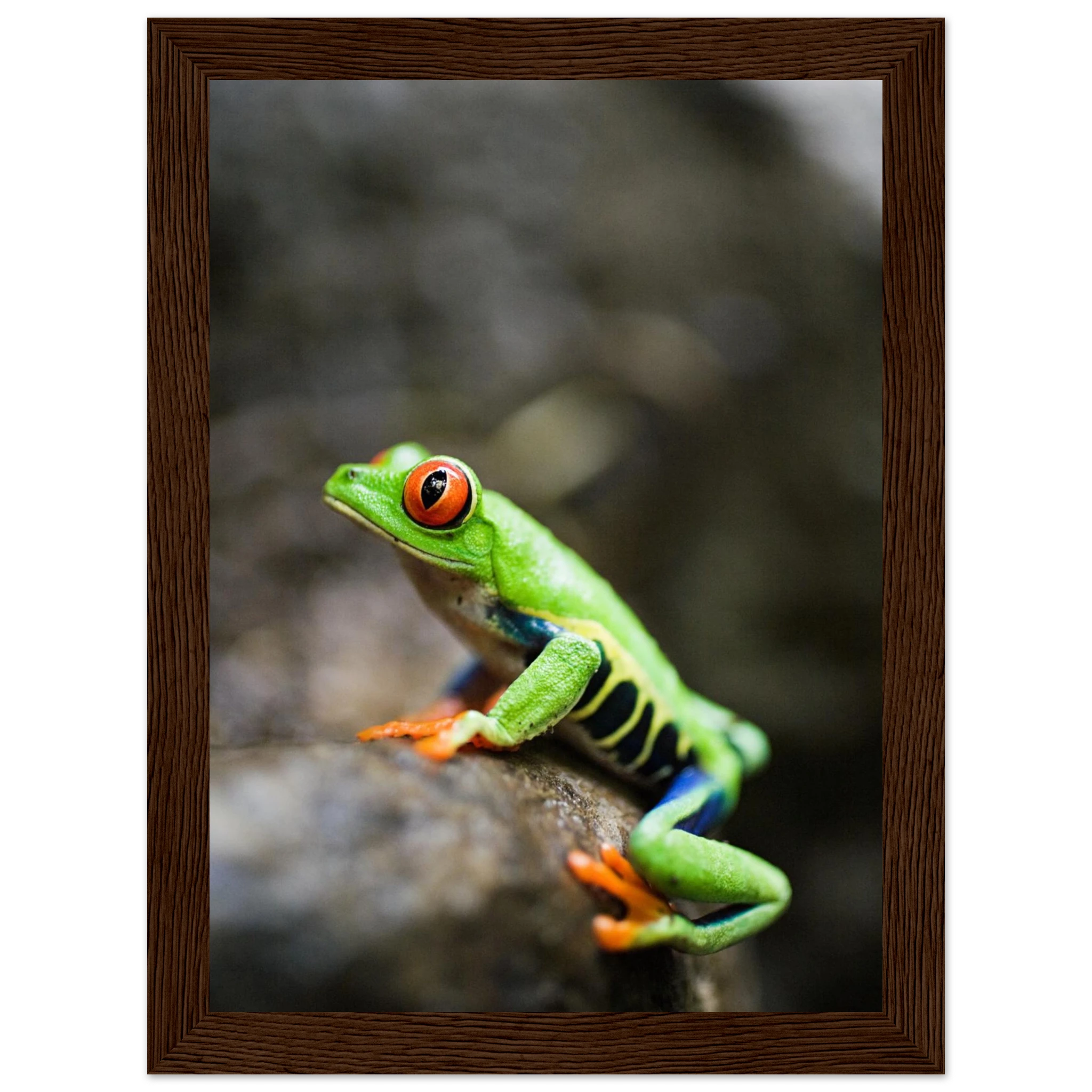 554165b0-6332-40b3-ac6b-903317752873