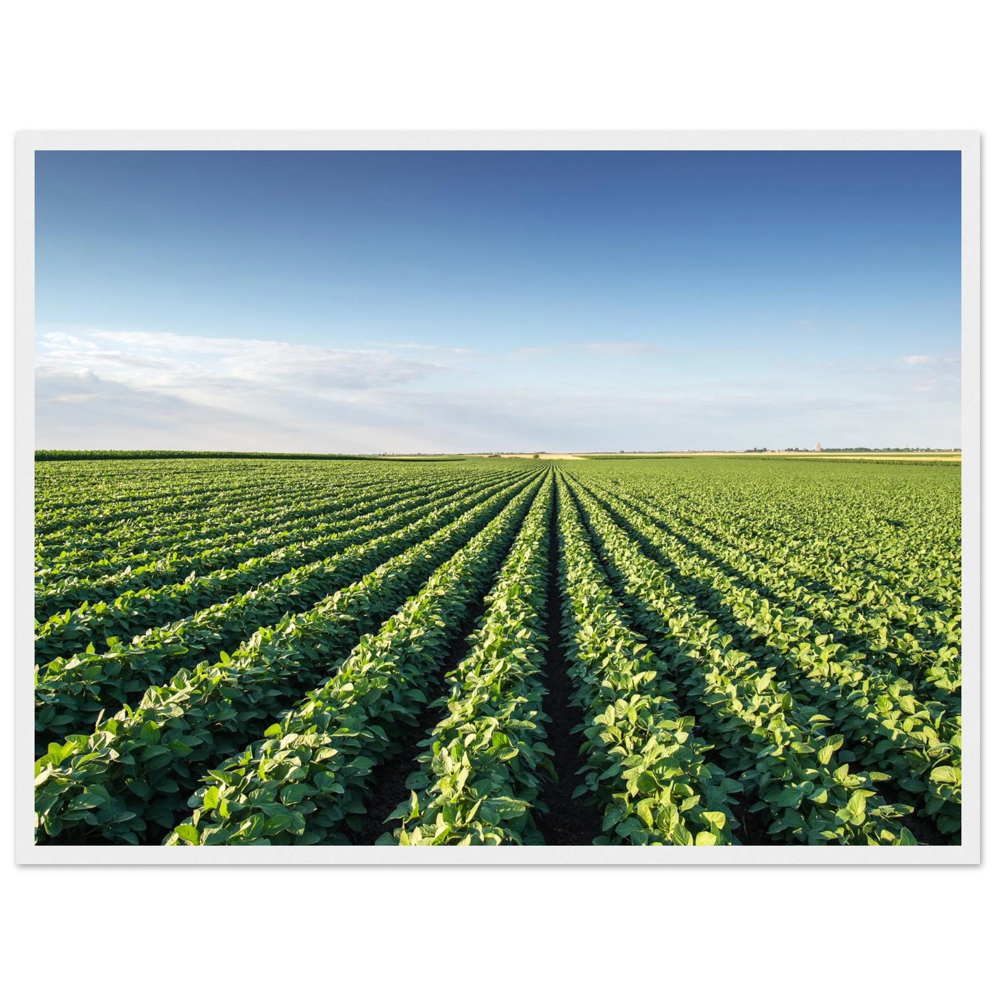 554554b6-1018-435a-8468-2fbeedf52746