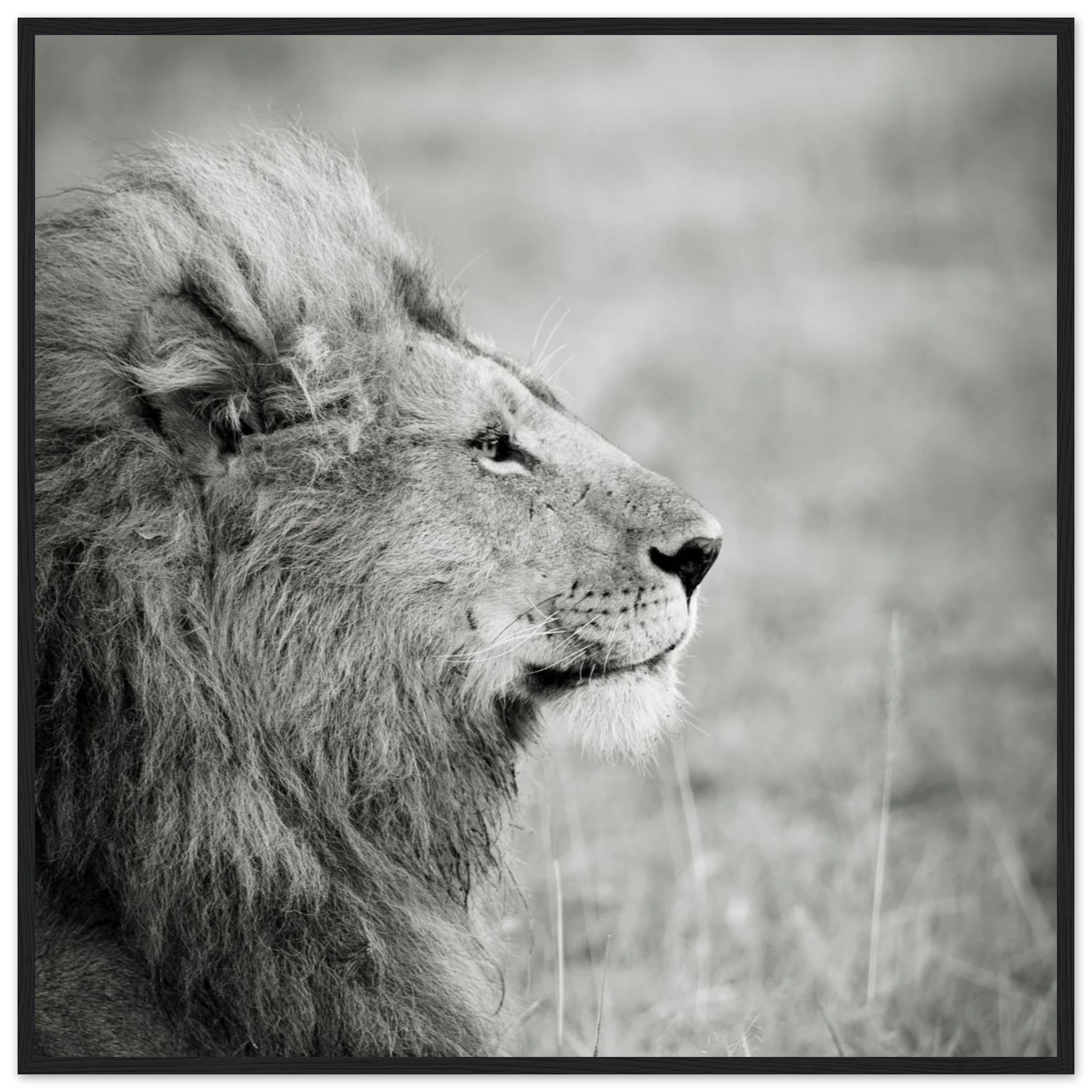 555ec77f-ed44-4c0d-bb09-fd9e915b983a