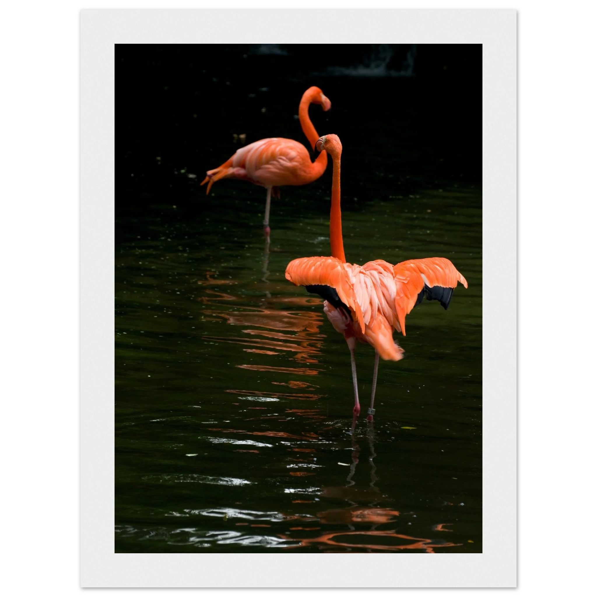 5573de2d-8127-4ed2-8478-8c7edaa16560