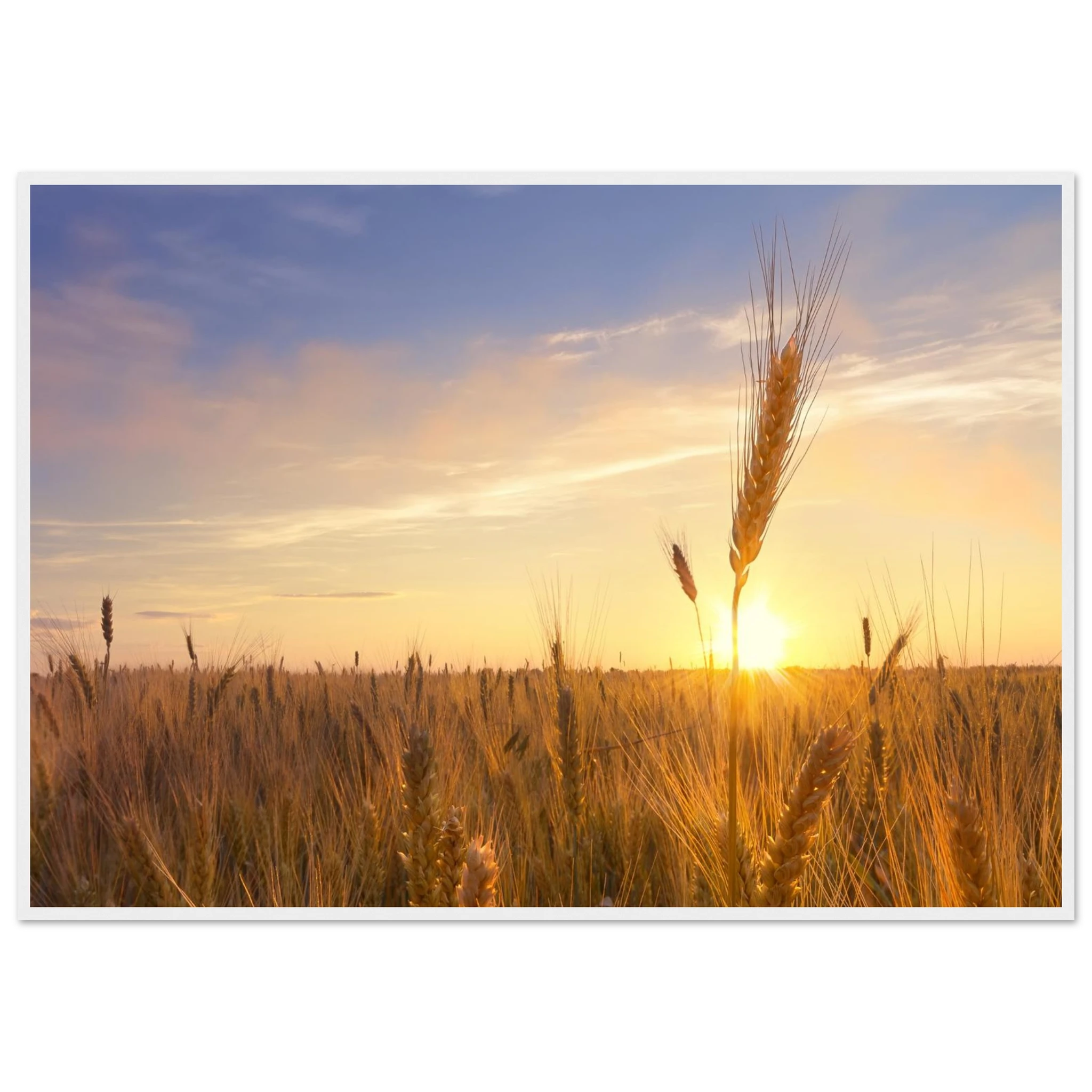 5592a1eb-d89a-4420-8e18-b30e354aec3c