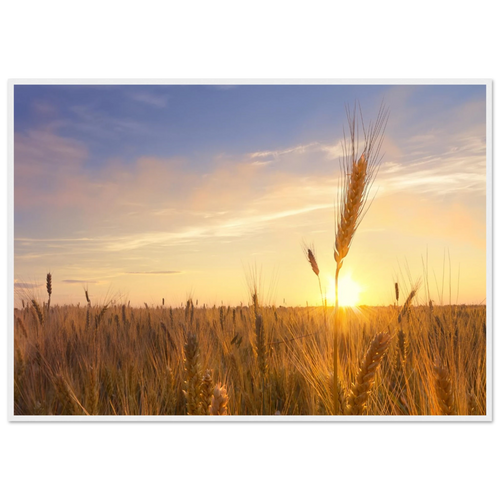 5592a1eb-d89a-4420-8e18-b30e354aec3c