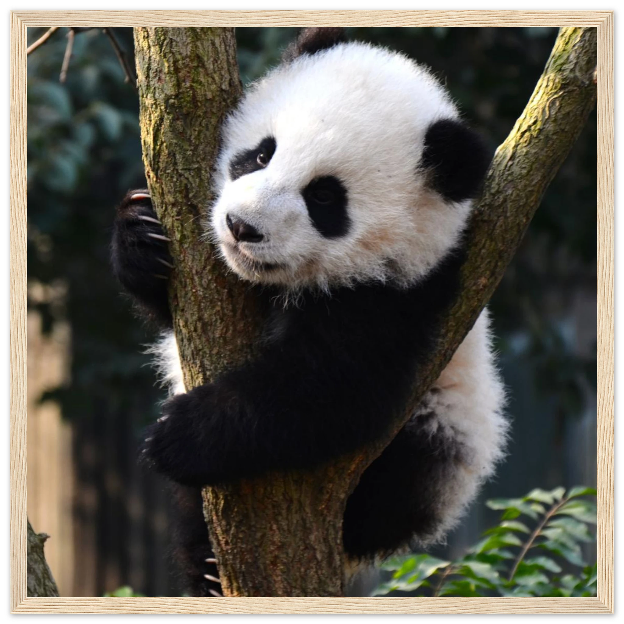 55953b2d-96f2-4234-8a3e-c86a886a7027