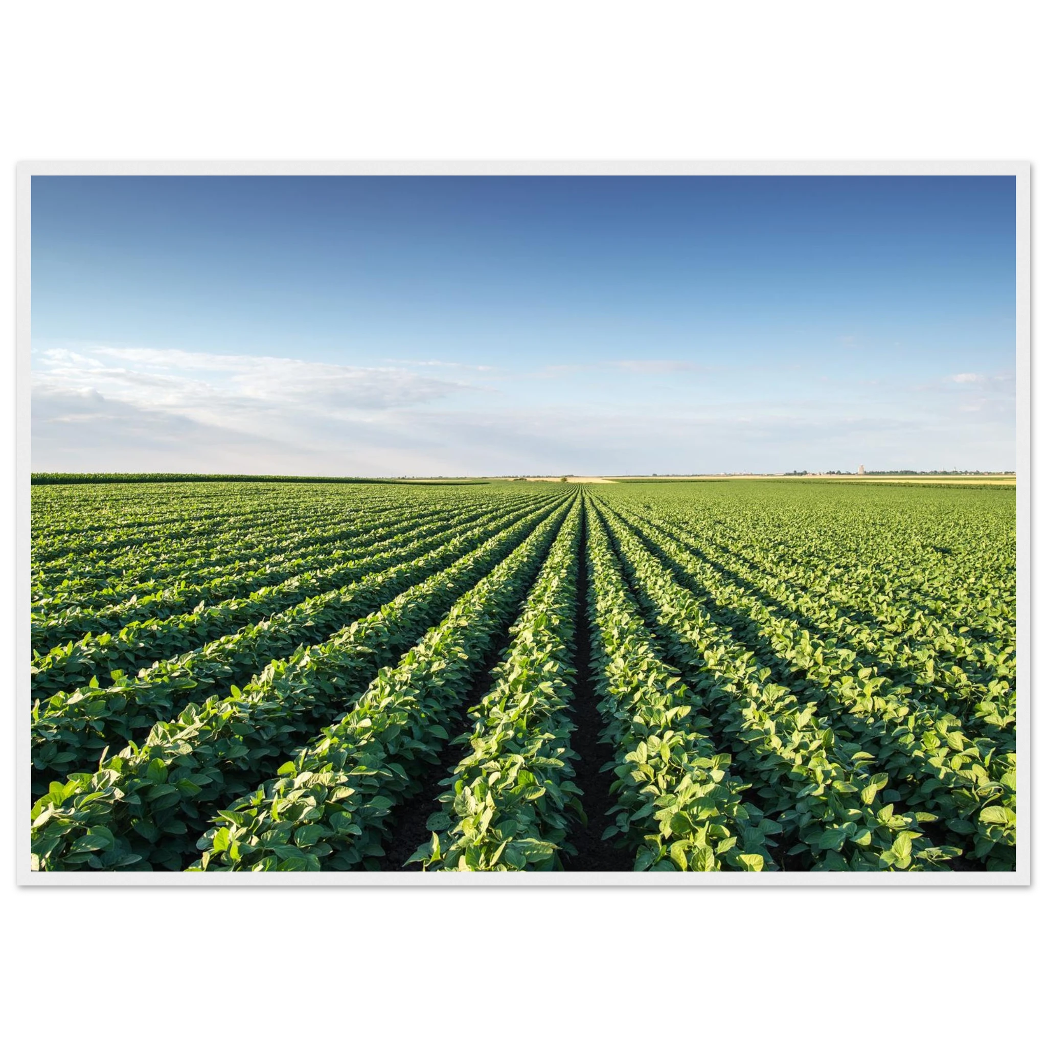 559bca9f-6764-4fe9-abda-197916d85211